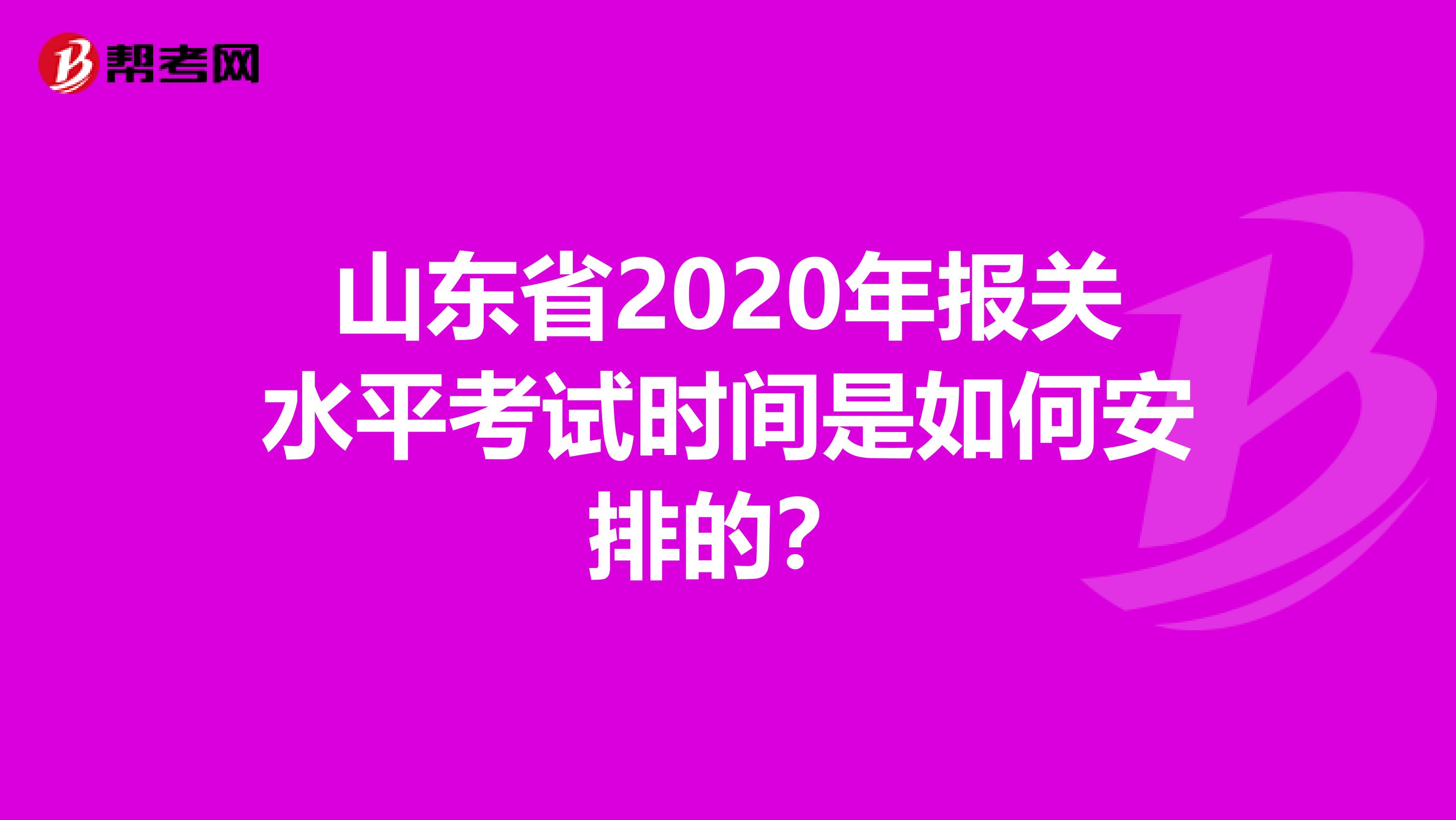 山东省2020年报关水平考试时间是如何安排的？