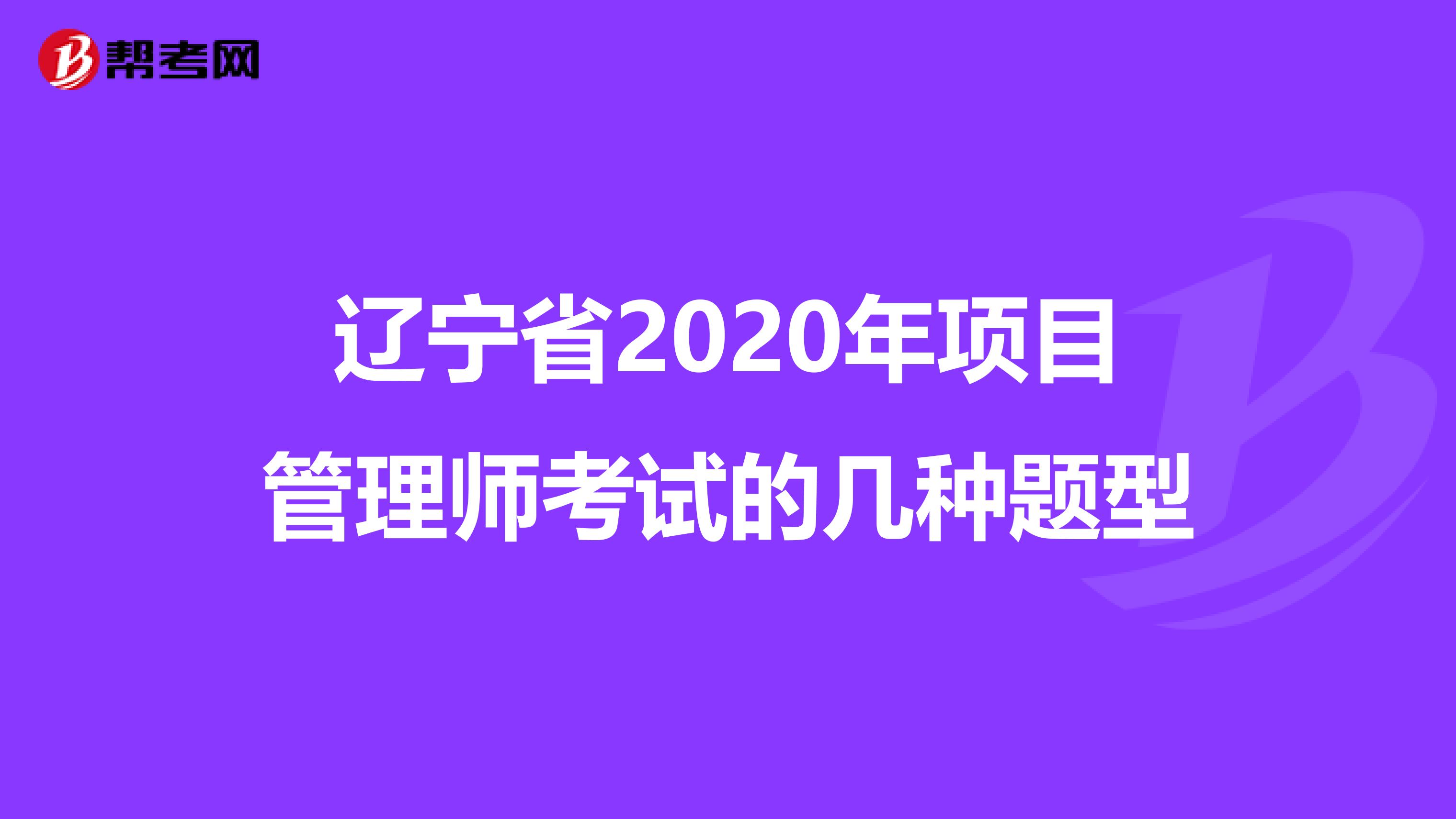 辽宁省2020年项目管理师考试的几种题型