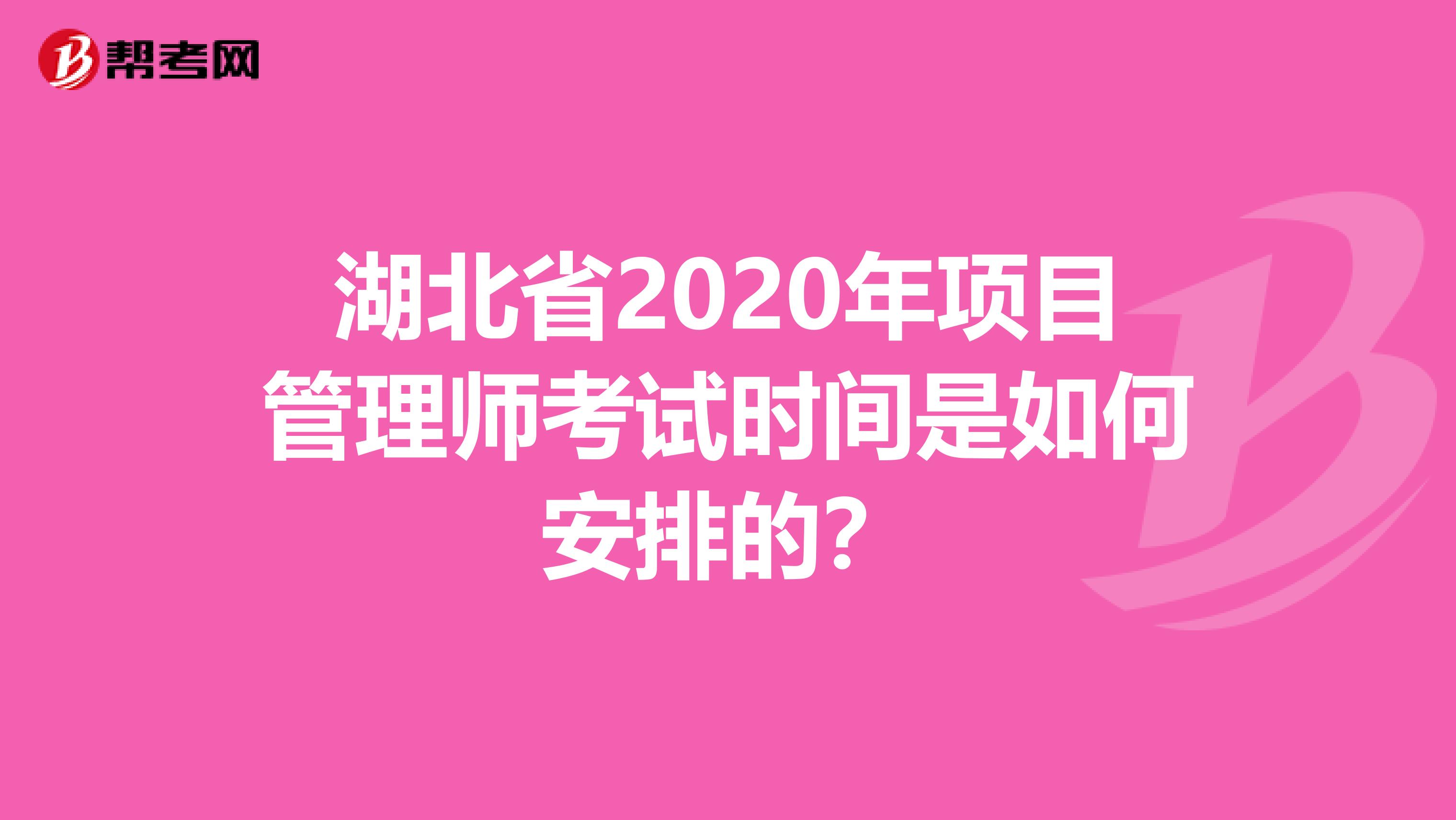 湖北省2020年项目管理师考试时间是如何安排的？