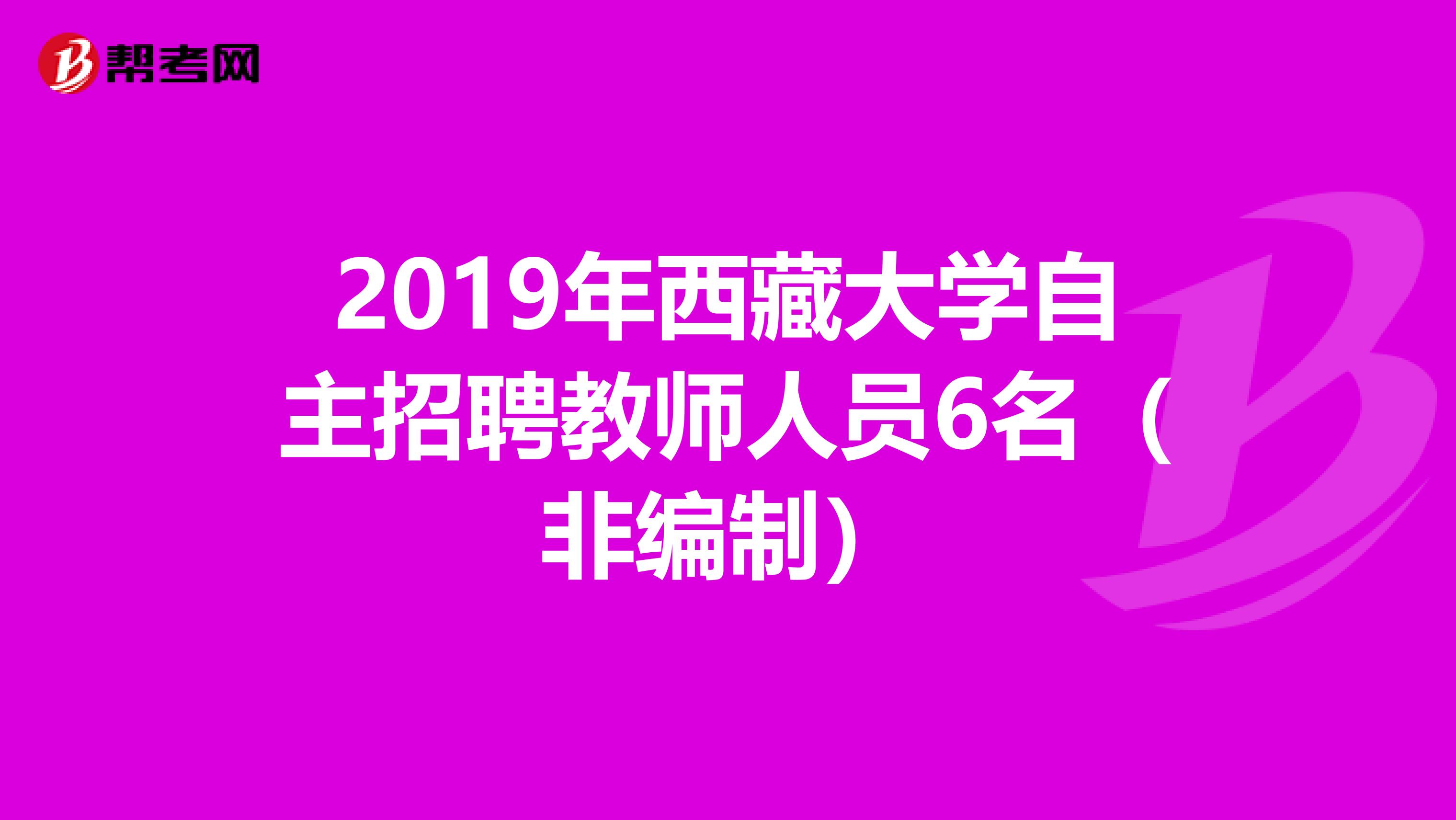 2019年西藏大学自主招聘教师人员6名（非编制）