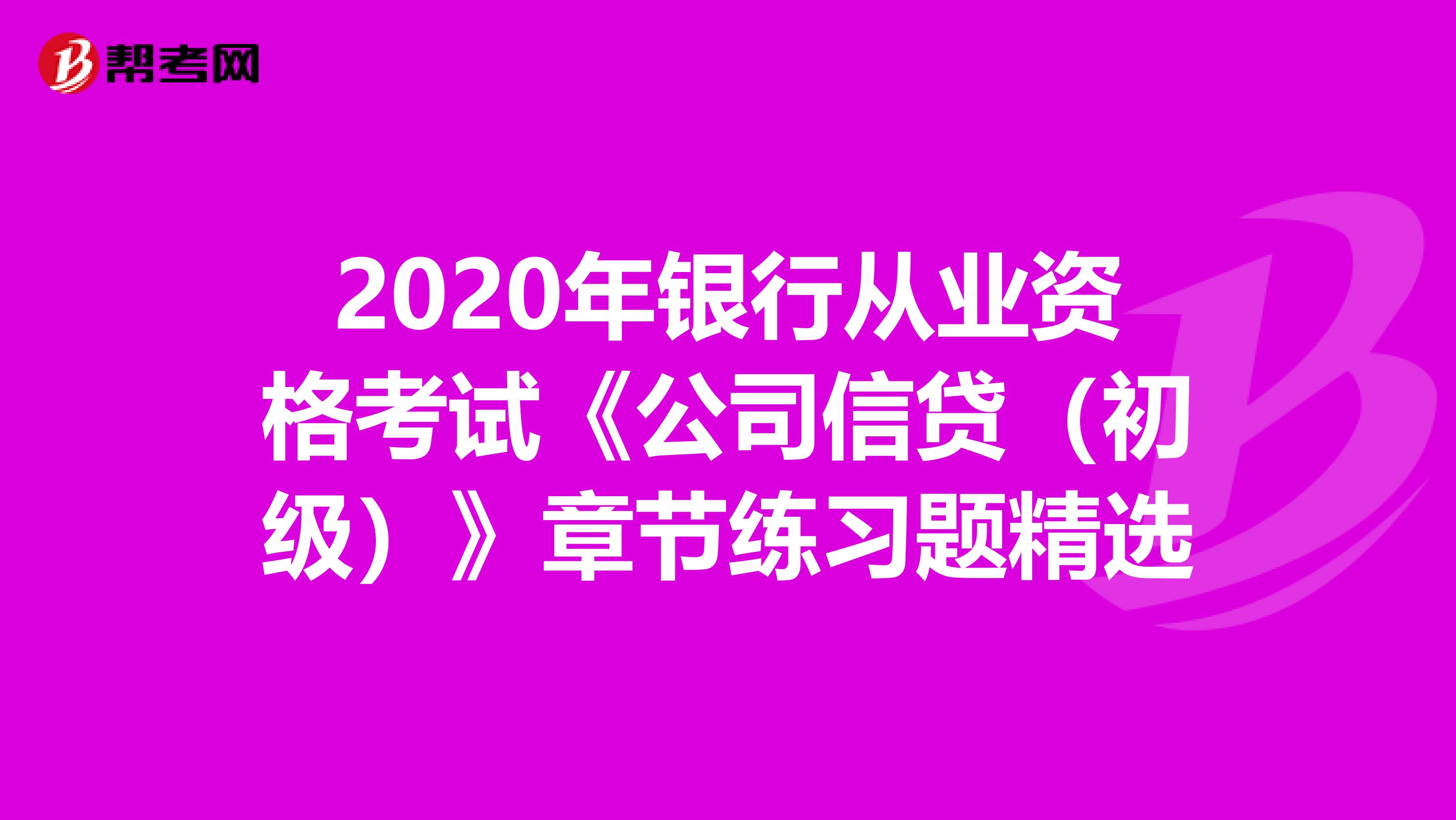 2020年银行从业资格考试《公司信贷（初级）》章节练习题精选