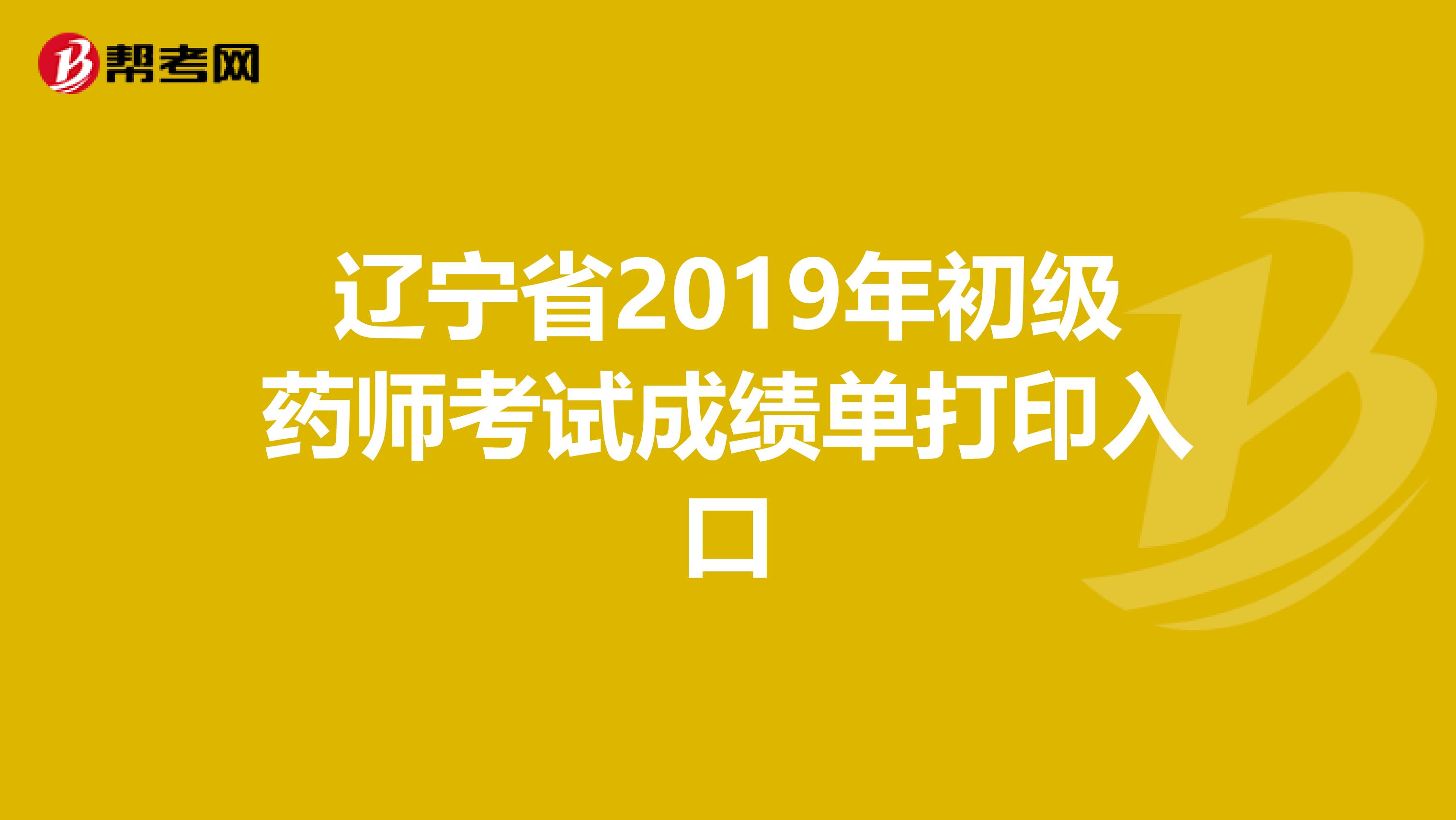 辽宁省2019年初级药师考试成绩单打印入口