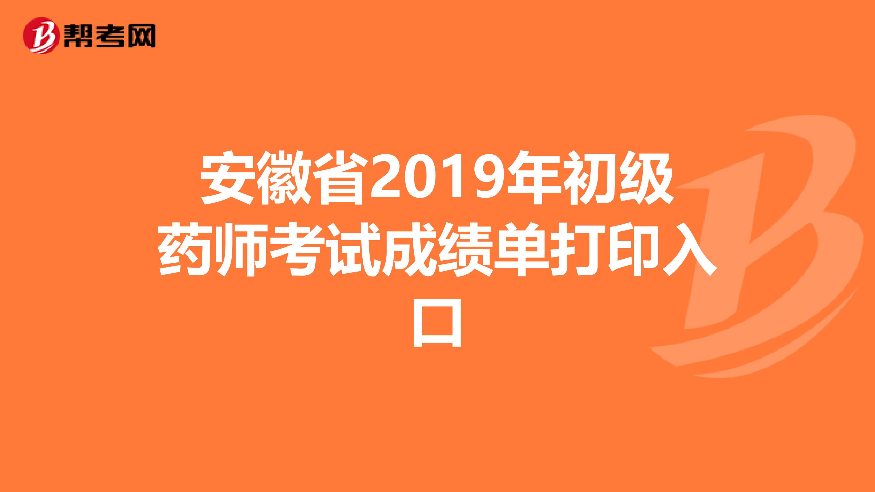 安徽省2019年初级药师考试成绩单打印入口