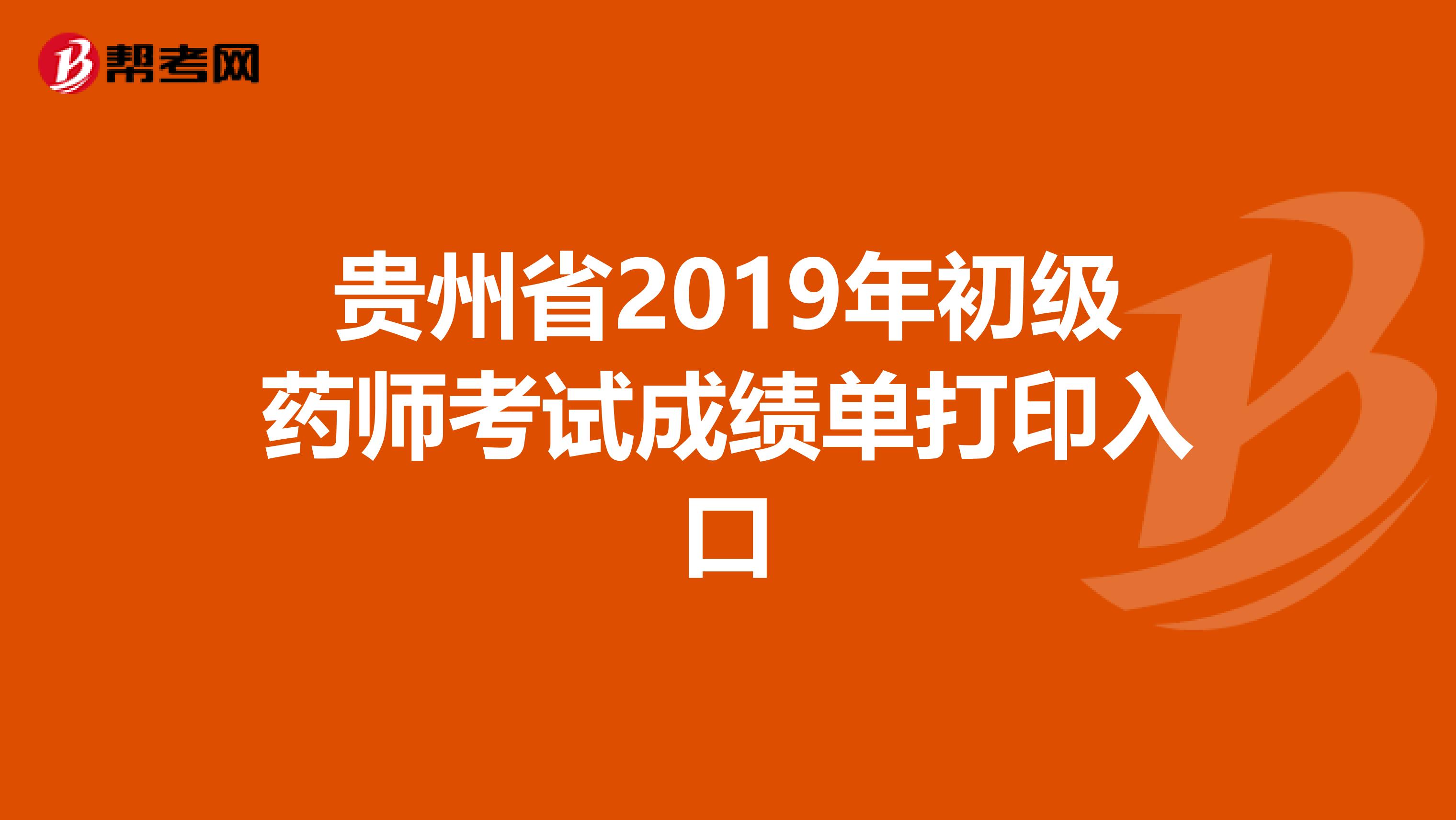 贵州省2019年初级药师考试成绩单打印入口