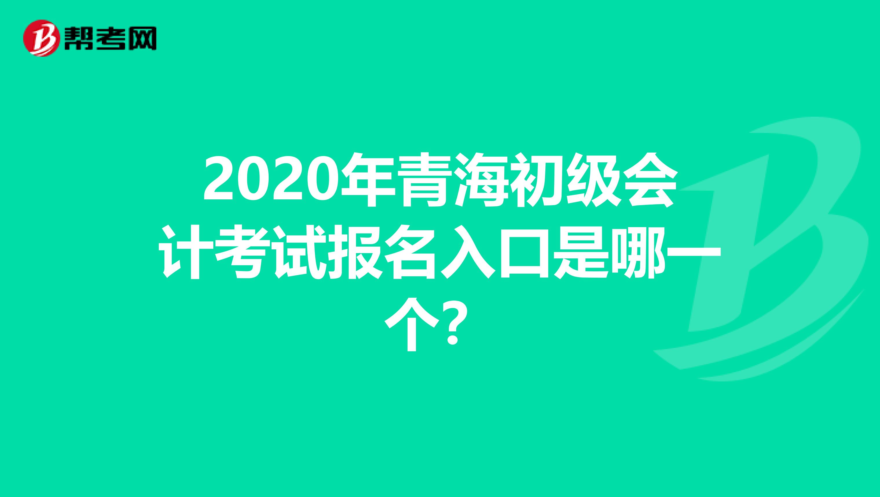2020年青海初级会计考试报名入口是哪一个？