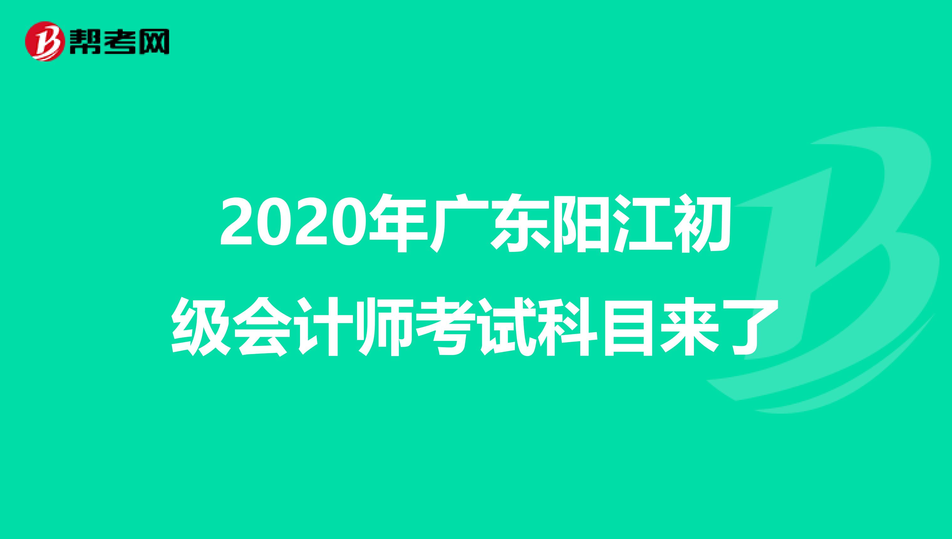 2020年广东阳江初级会计师考试科目来了