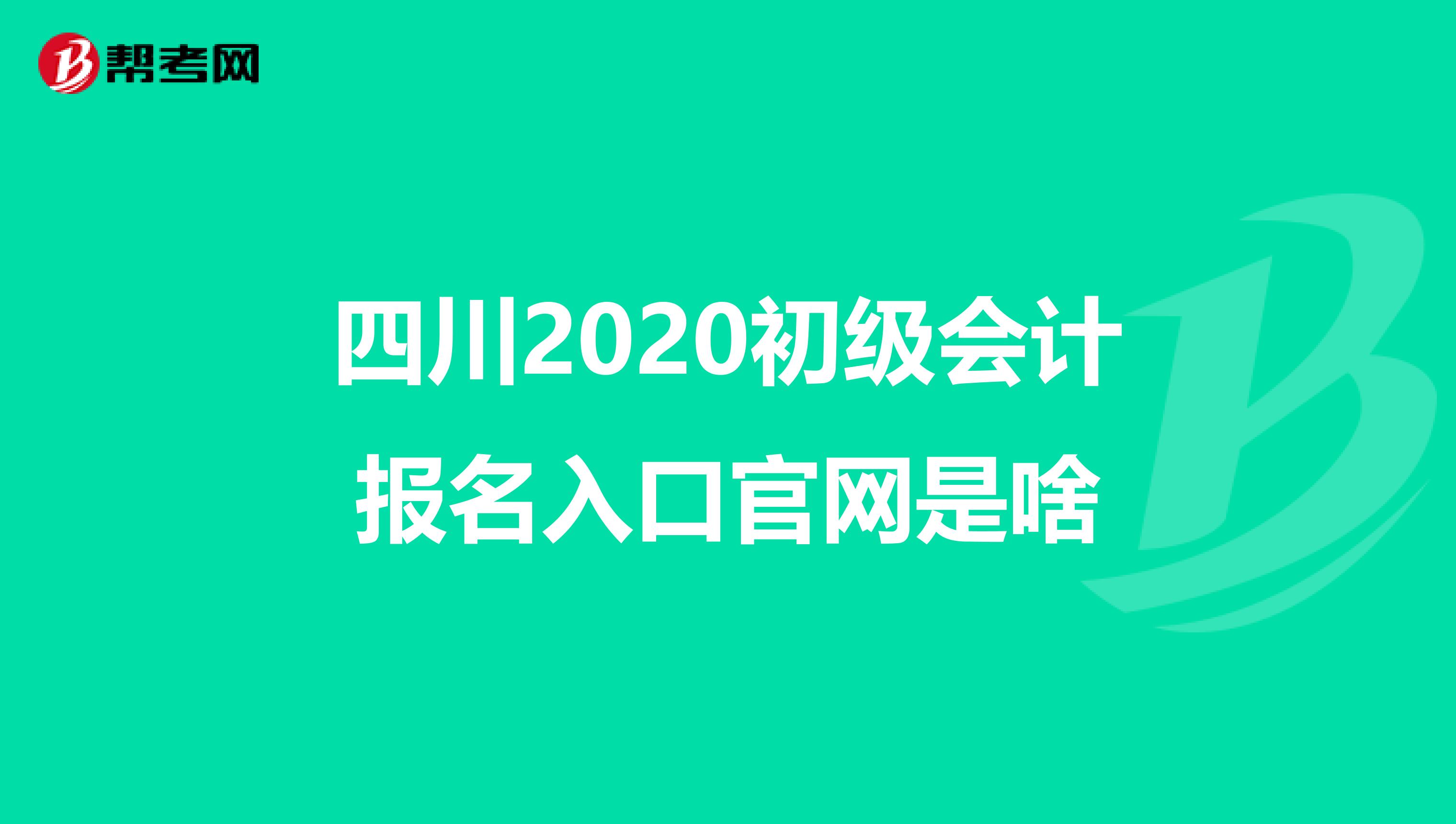 四川2020初级会计报名入口官网是啥