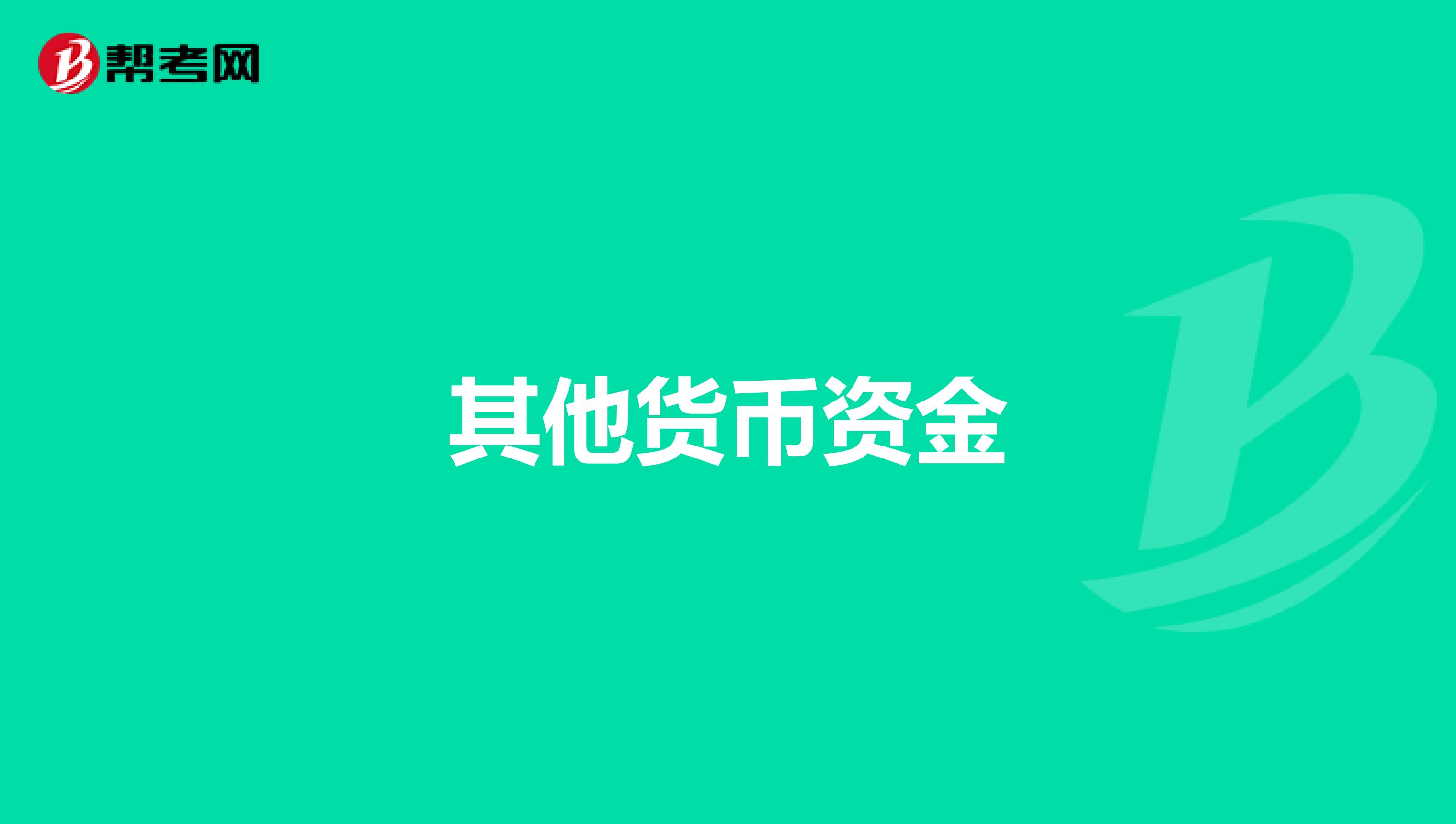 其他货币资金