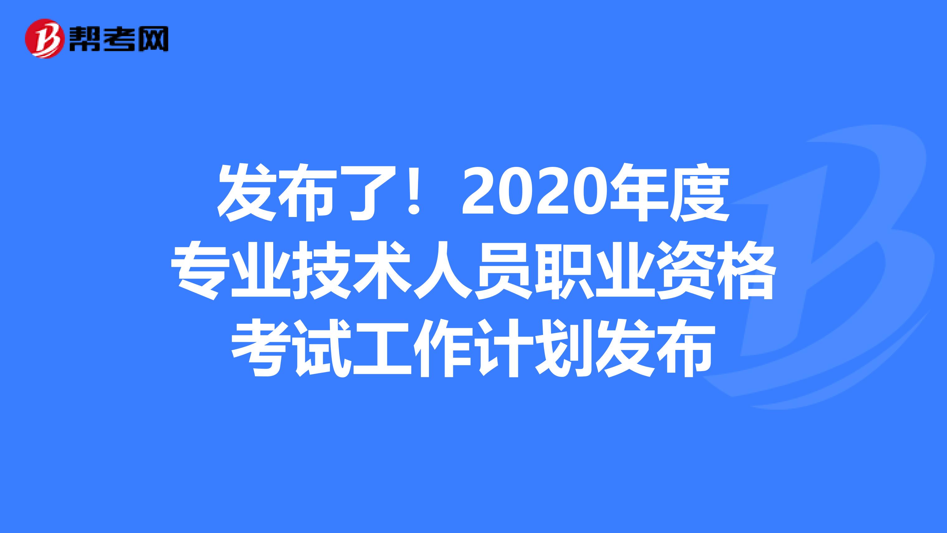 发布了！2020年度专业技术人员职业资格考试工作计划发布