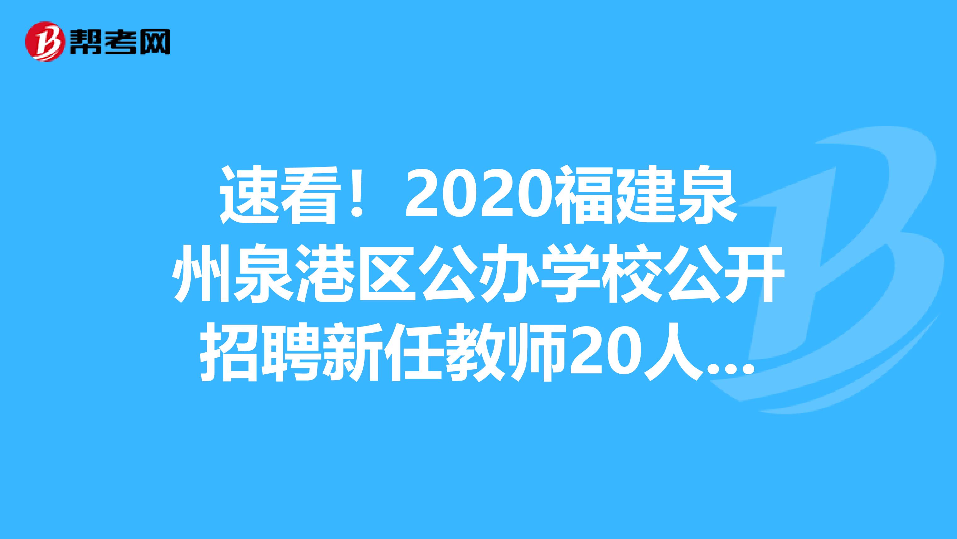 速看！2020福建泉州泉港区公办学校公开招聘新任教师20人报名入口-泉港区人民政府