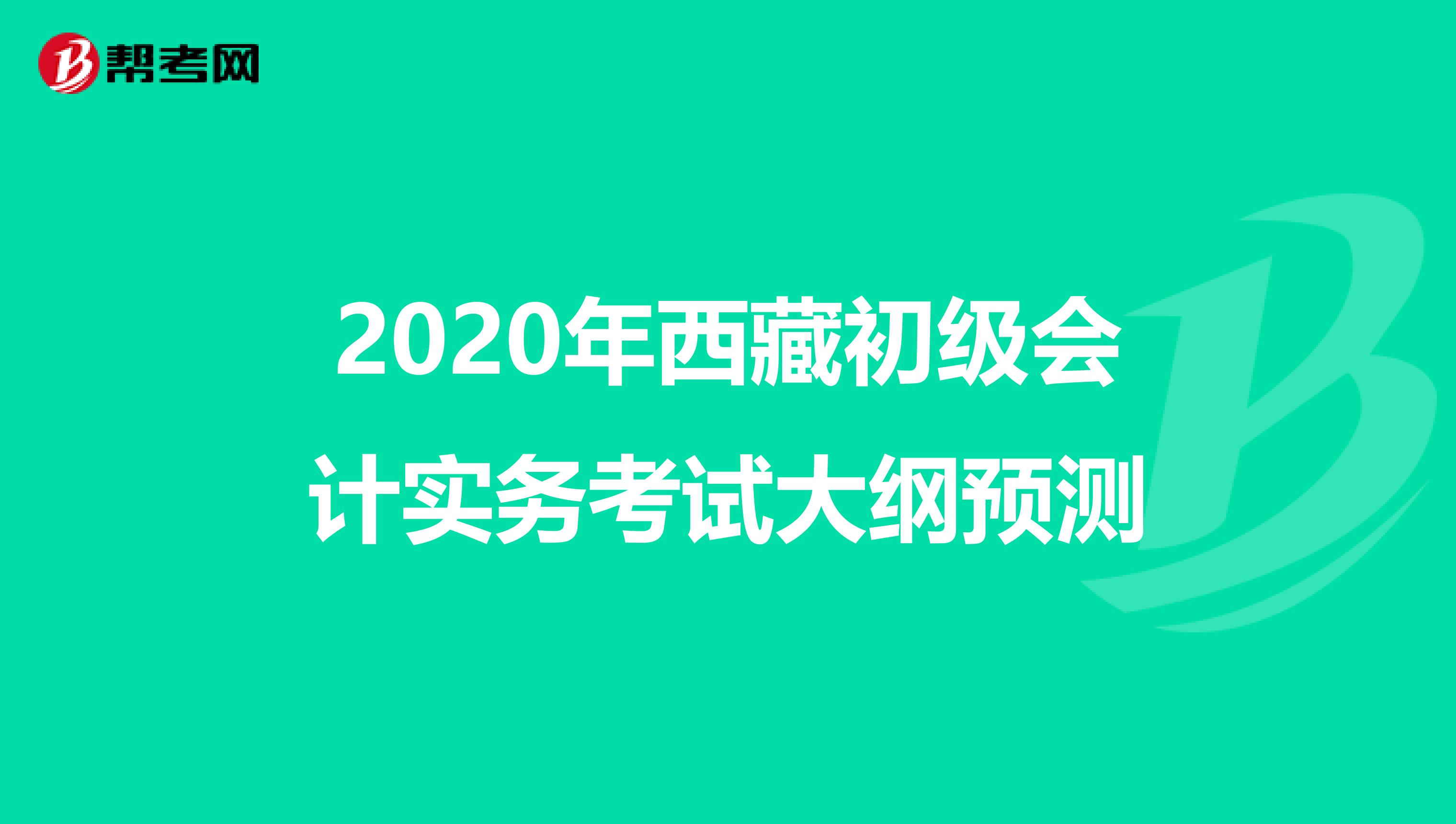 2020年西藏初级会计实务考试大纲预测