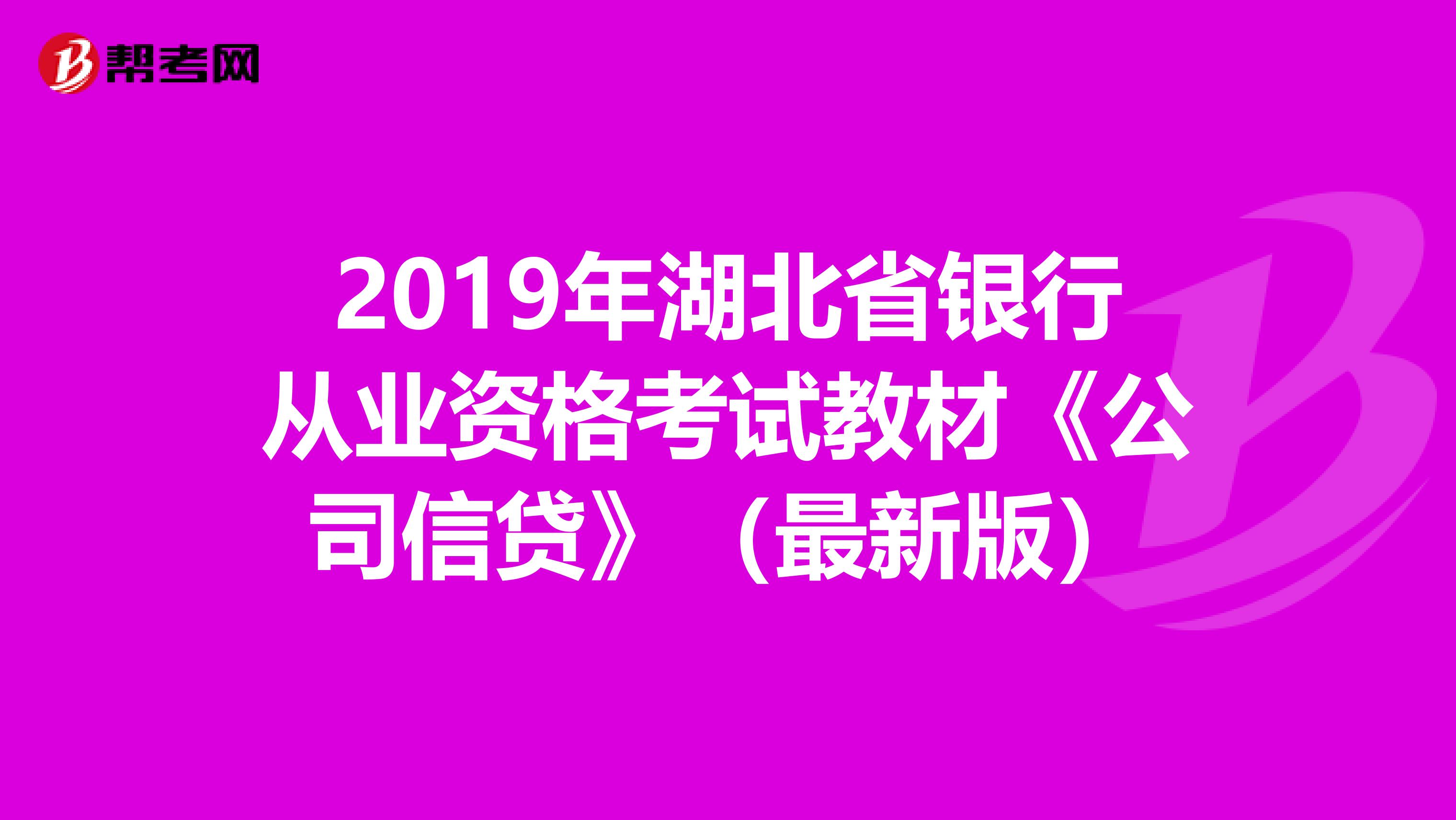 2019年湖北省银行从业资格考试教材《公司信贷》（最新版）