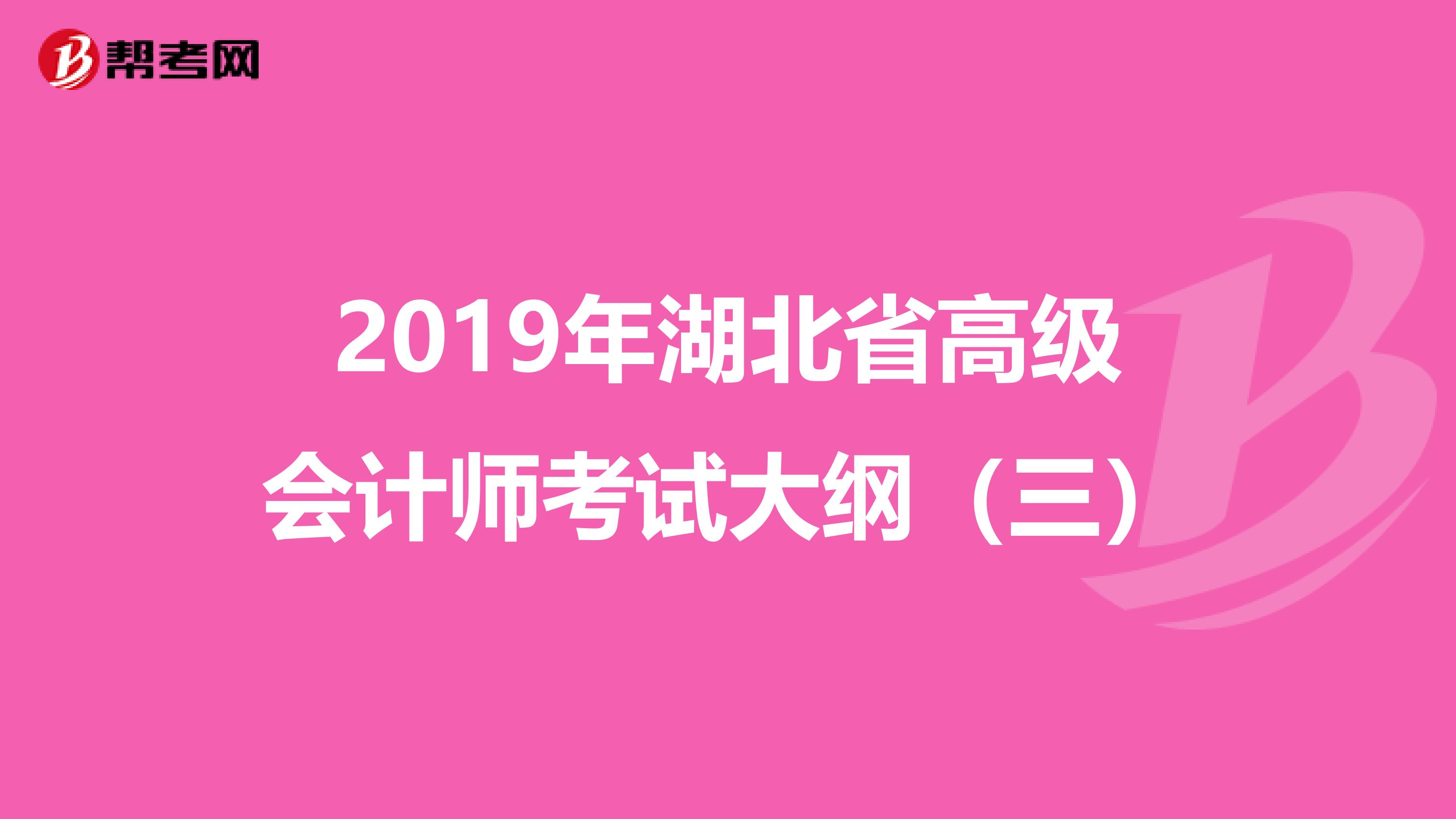 2019年湖北省高级会计师考试大纲（三）