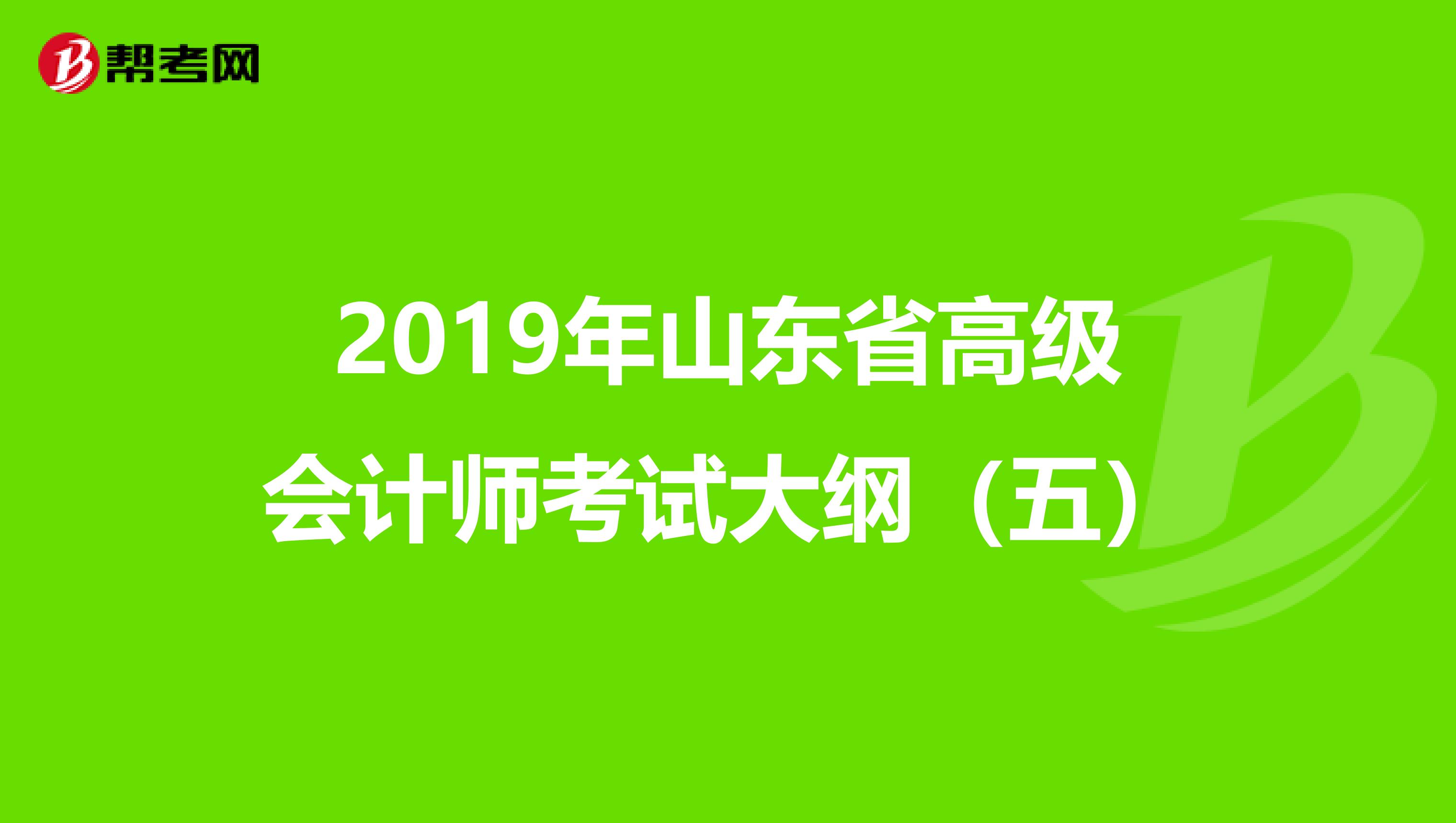 2019年山东省高级会计师考试大纲（五）