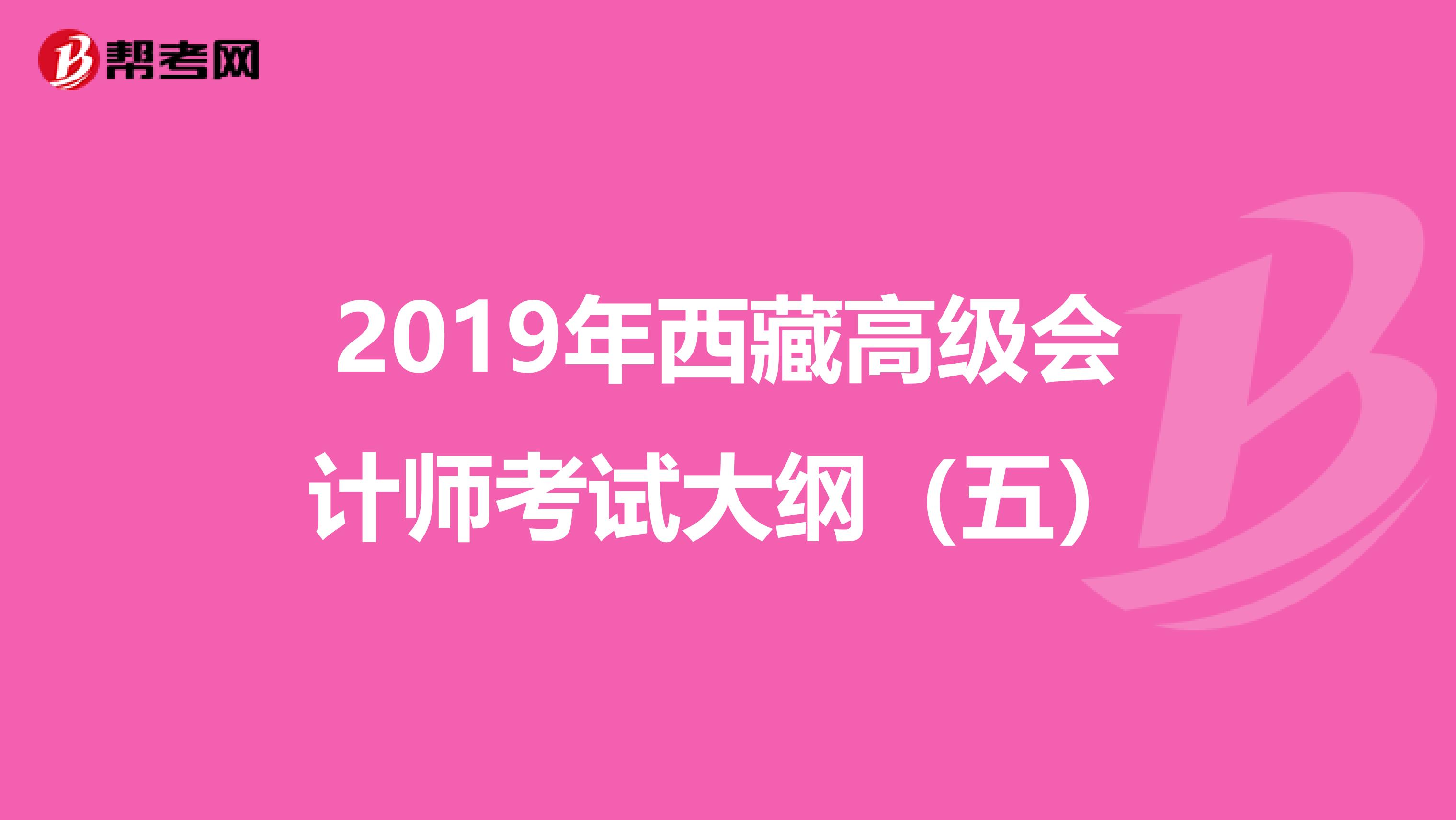 2019年西藏高级会计师考试大纲（五）