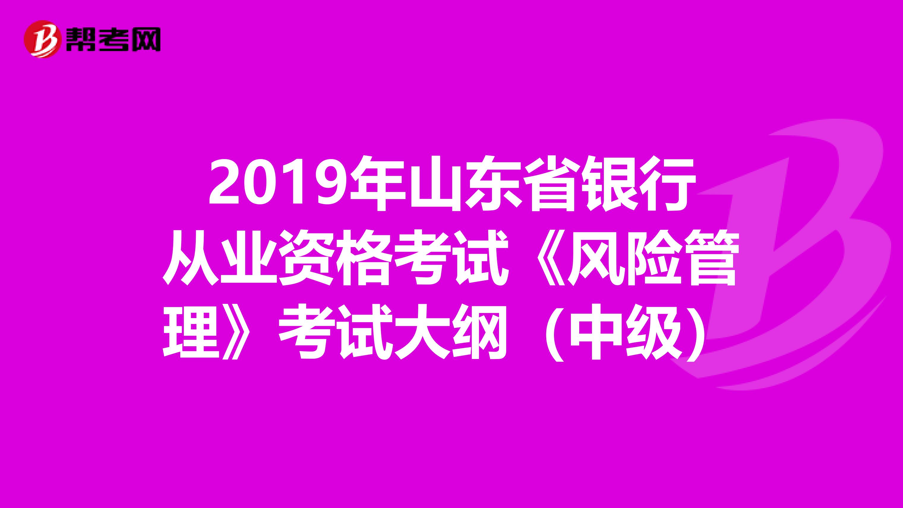 2019年山东省银行从业资格考试《风险管理》考试大纲（中级）