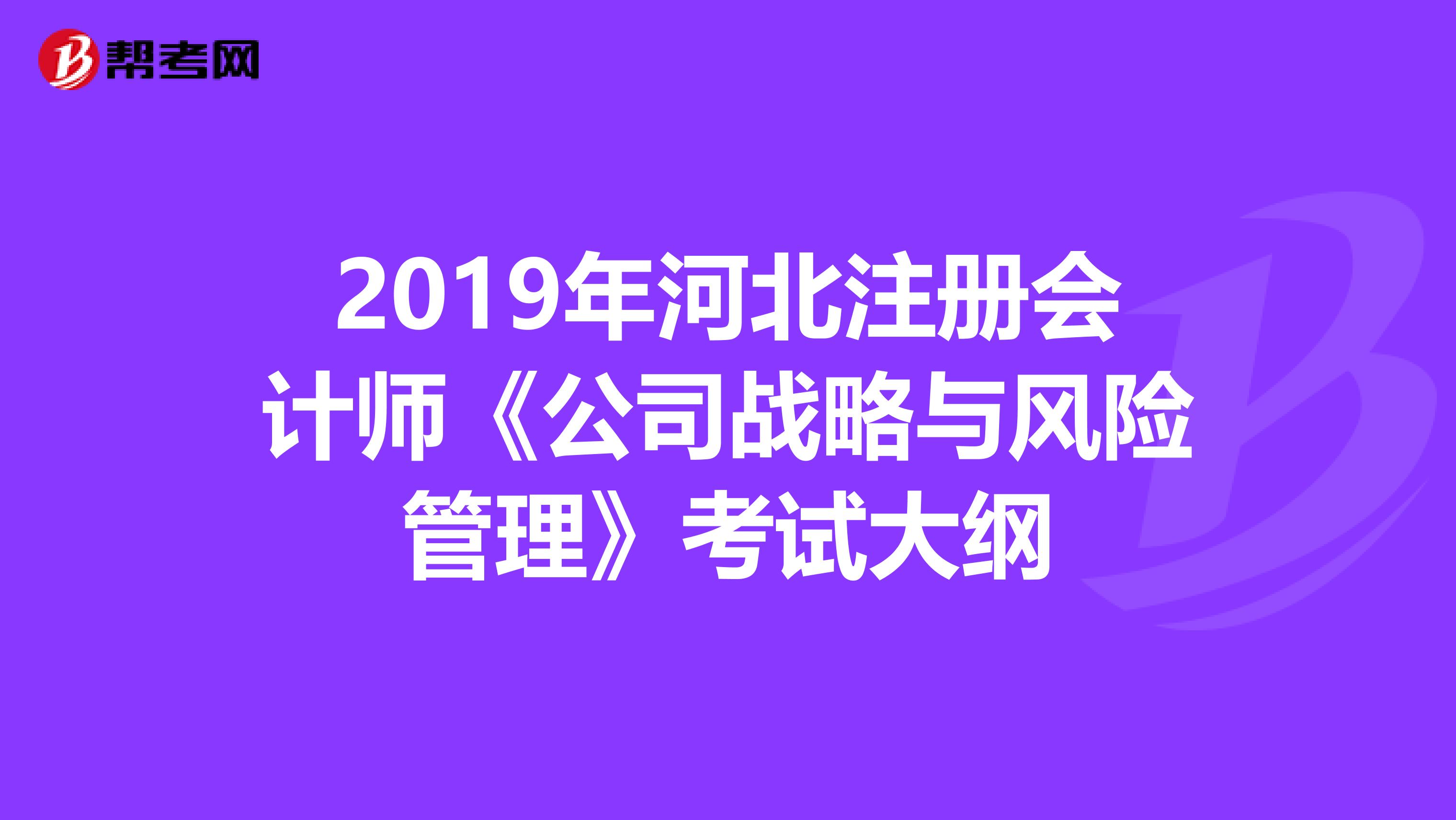 2019年河北注册会计师《公司战略与风险管理》考试大纲