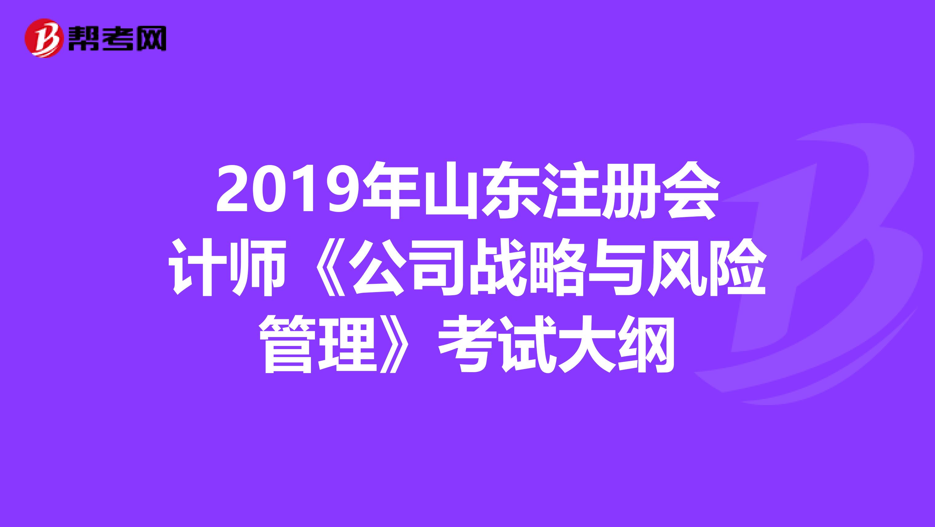 2019年山东注册会计师《公司战略与风险管理》考试大纲