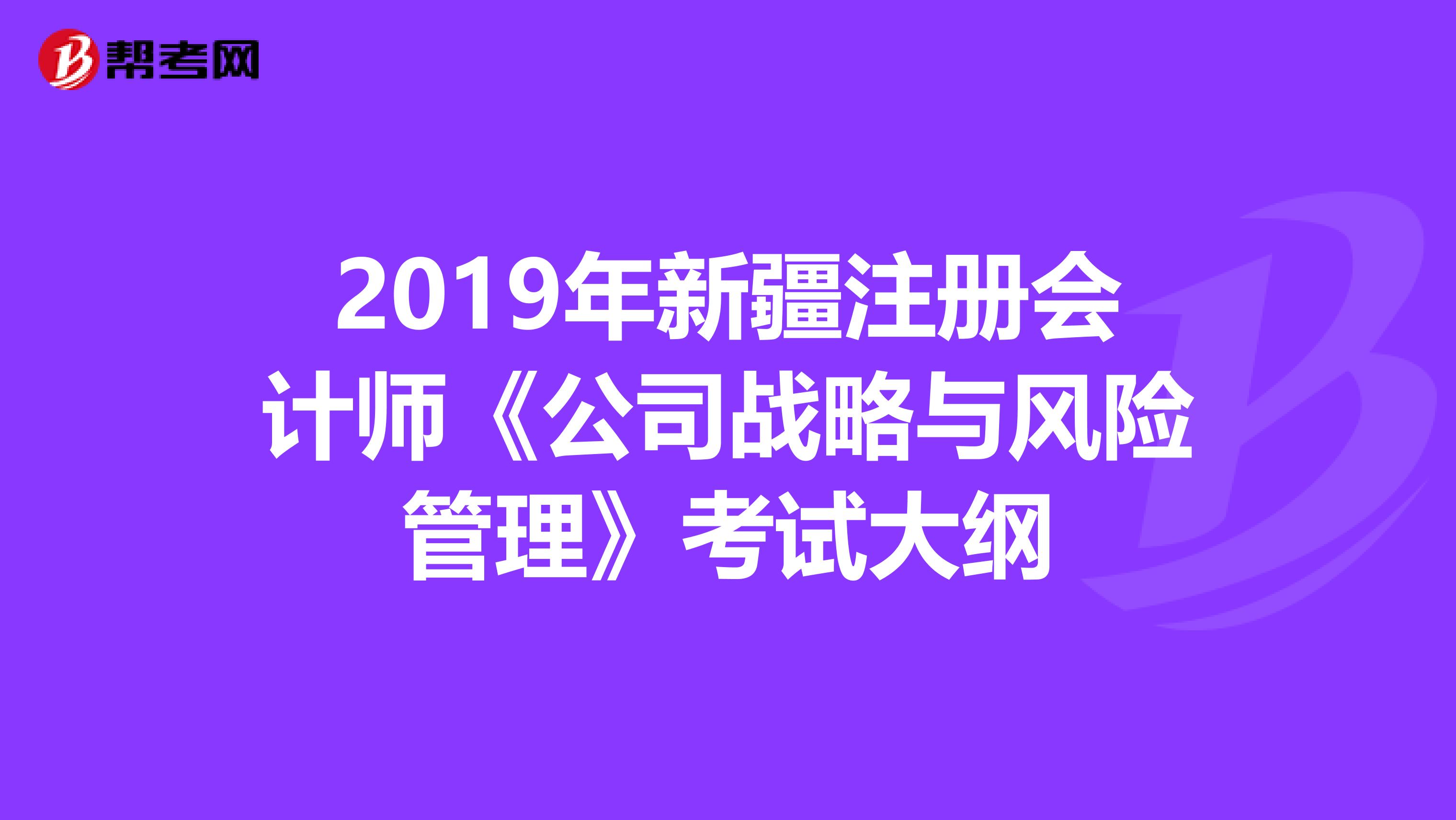 2019年新疆注册会计师《公司战略与风险管理》考试大纲