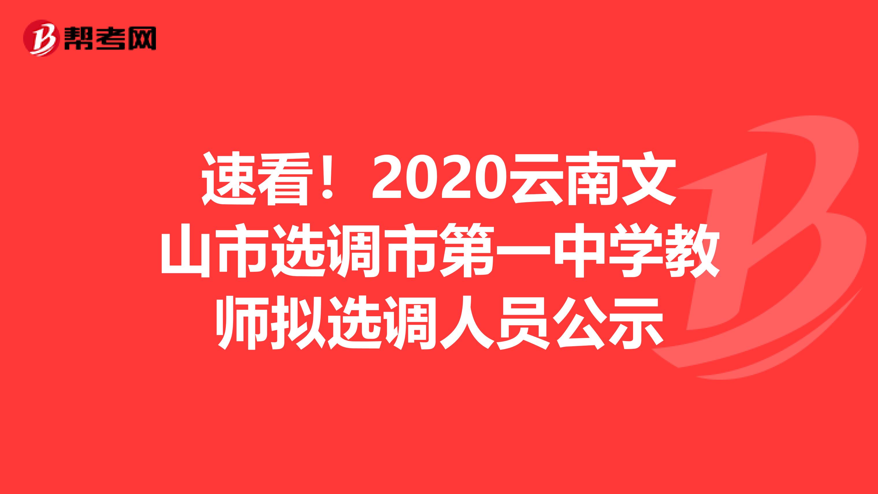 速看！2020云南文山市选调市第一中学教师拟选调人员公示