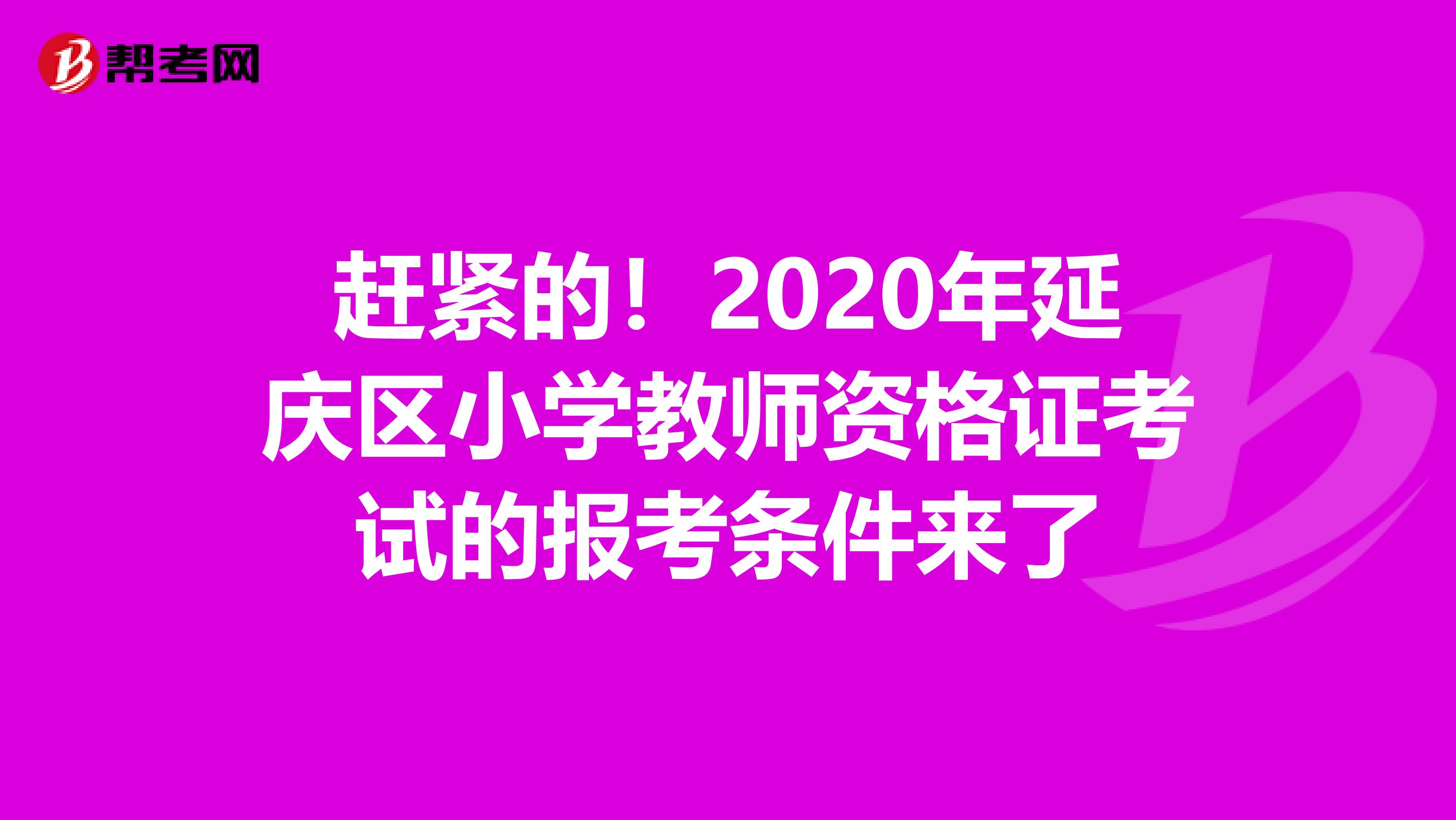 赶紧的！2020年延庆区小学教师资格证考试的报考条件来了