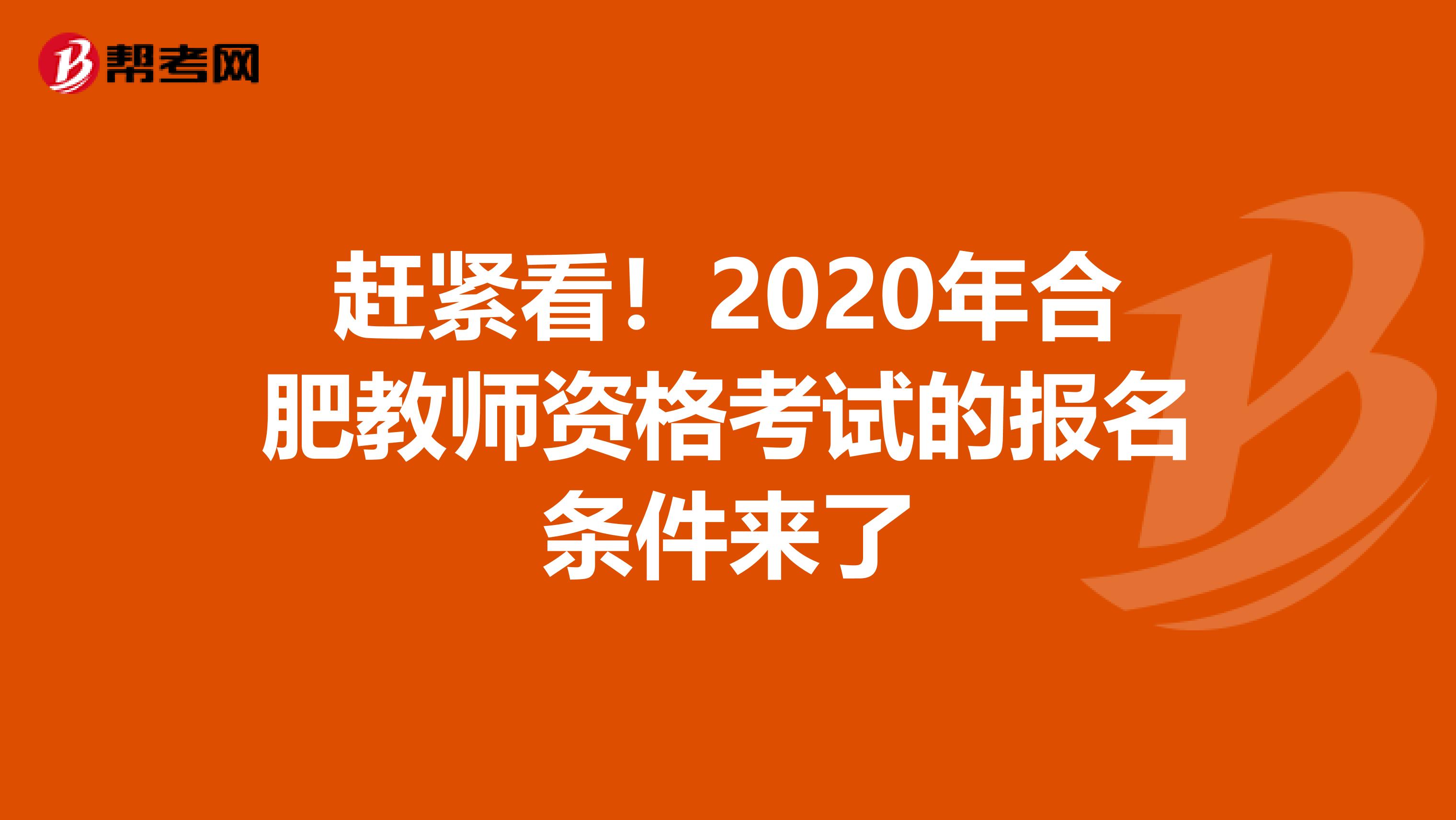 赶紧看！2020年合肥教师资格考试的报名条件来了