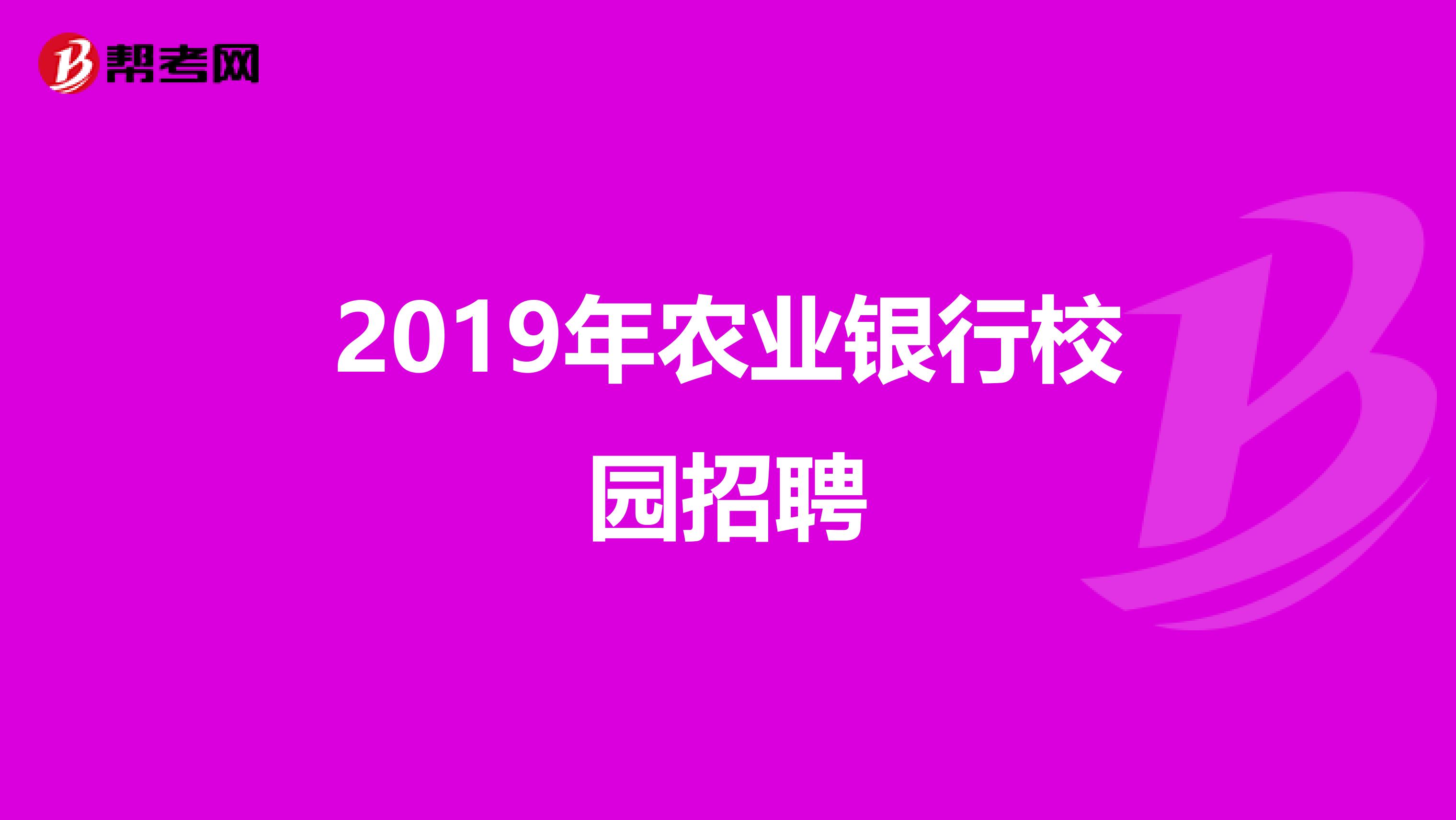 2019年农业银行校园招聘