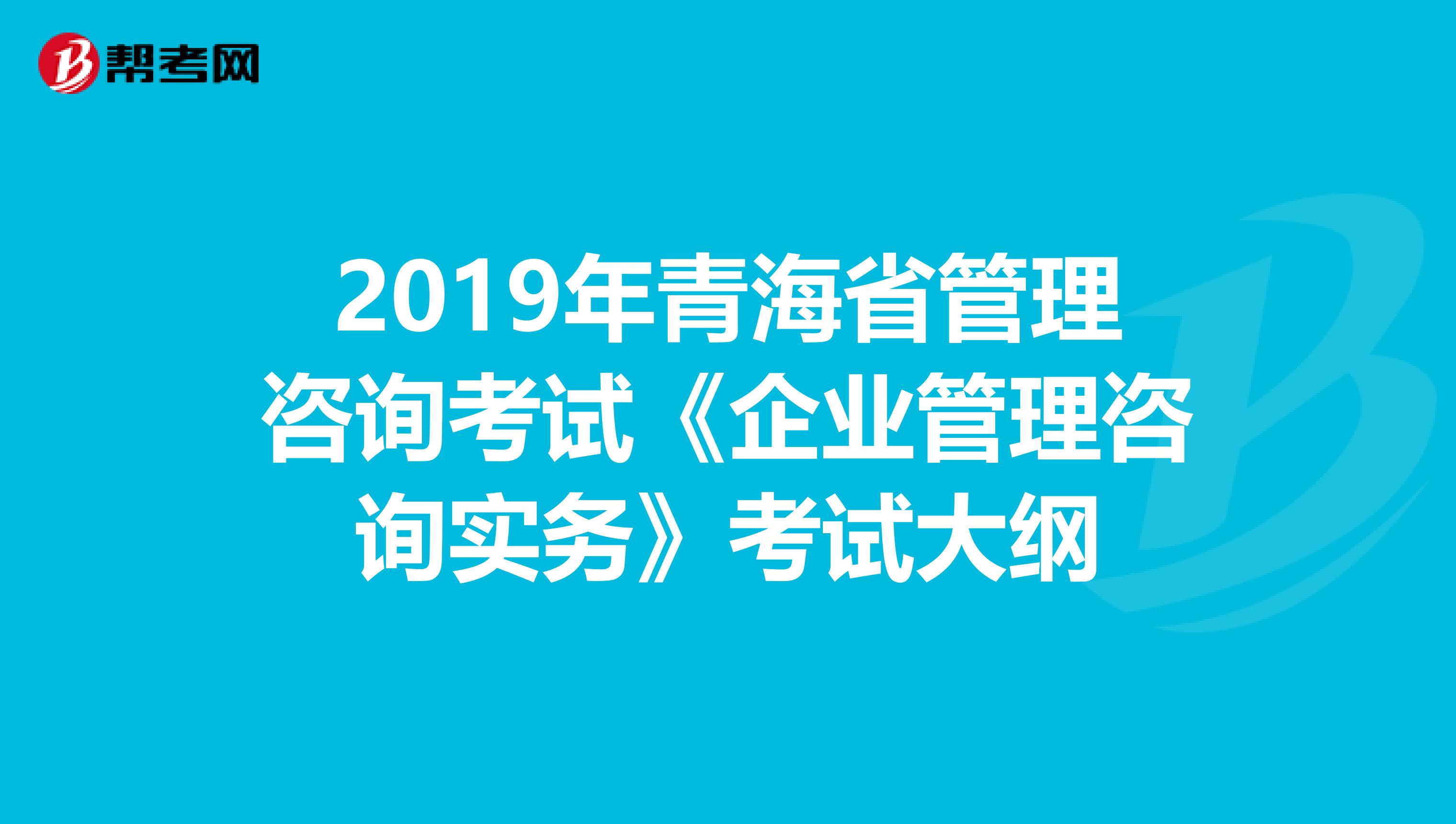 2019年青海省管理咨询考试《企业管理咨询实务》考试大纲