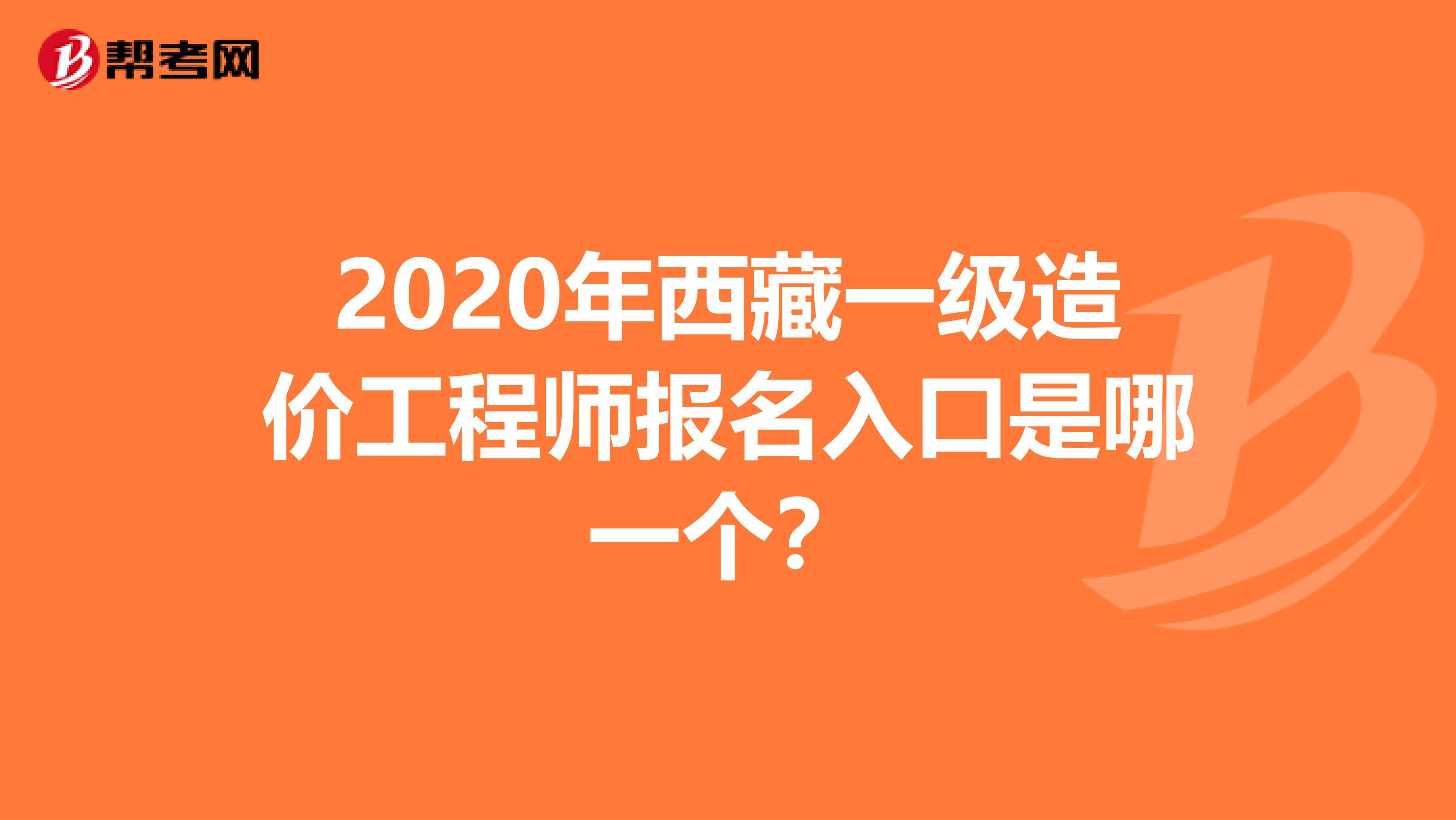 2020年西藏一级造价工程师报名入口是哪一个？