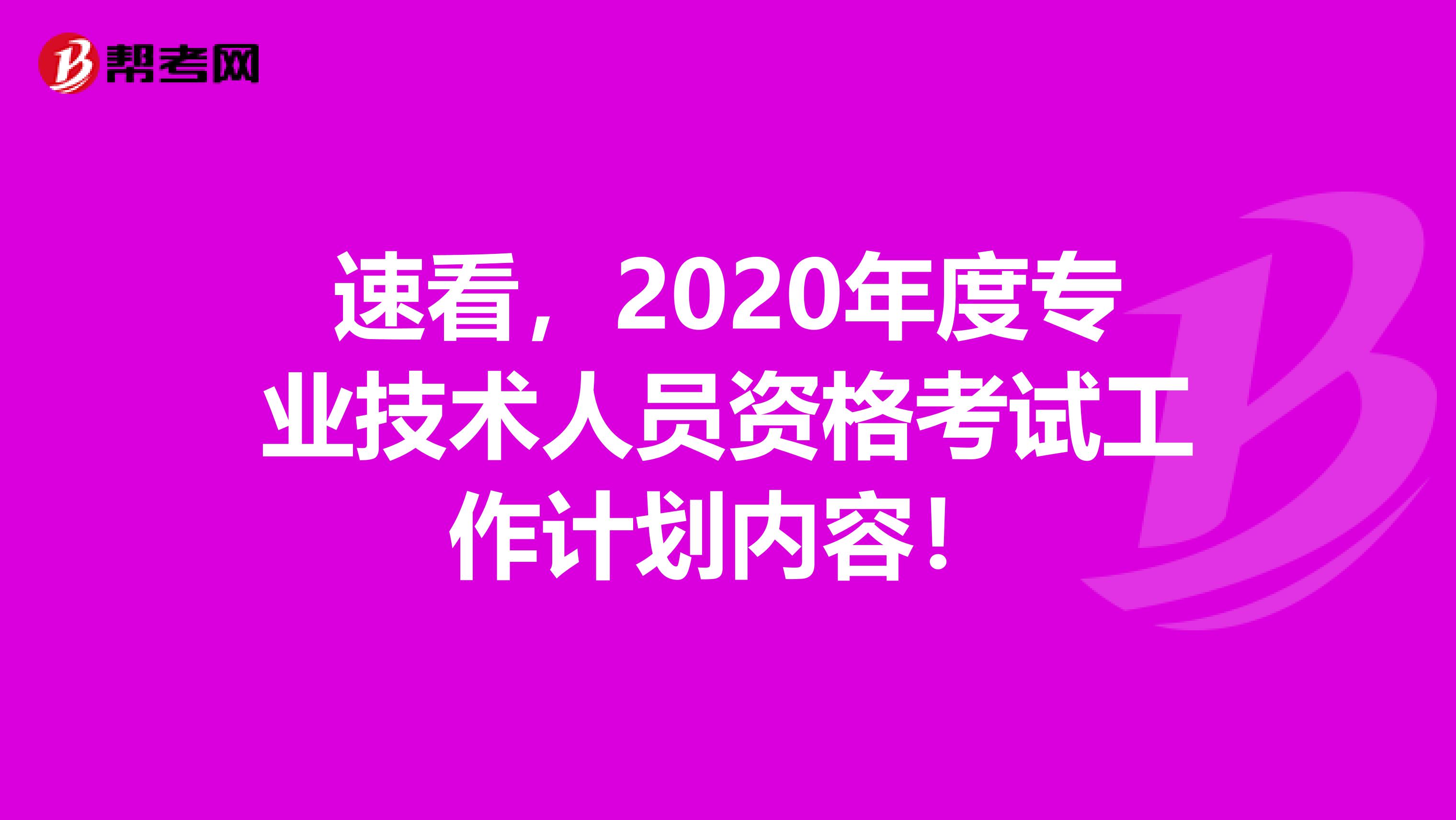 速看，2020年度专业技术人员资格考试工作计划内容！