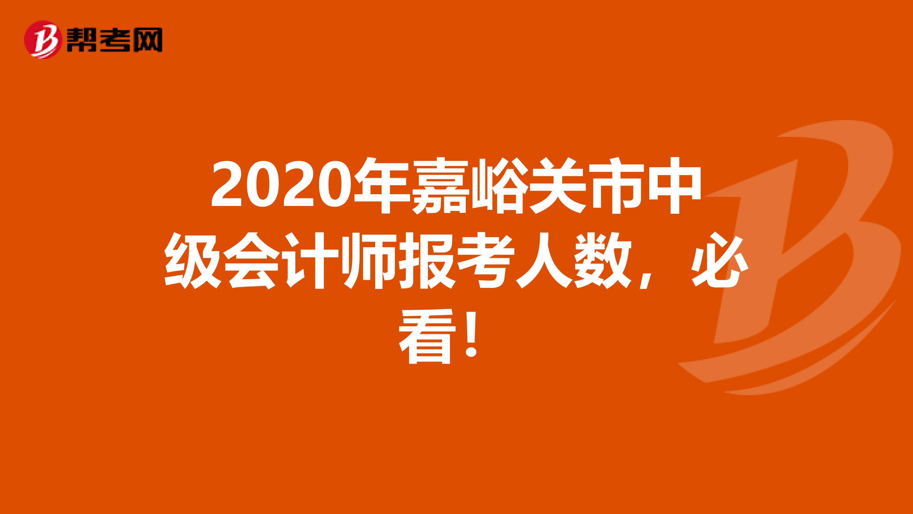 2020年嘉峪关市中级会计师报考人数，必看！