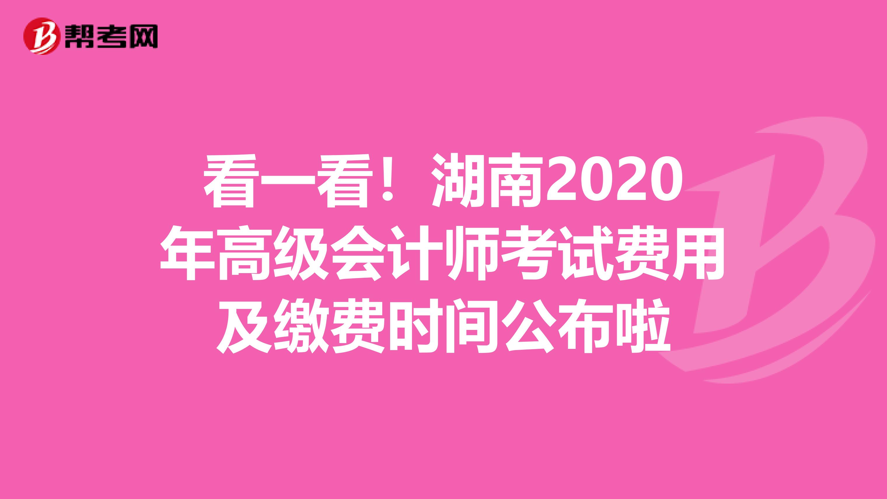看一看！湖南2020年高级会计师考试费用及缴费时间公布啦