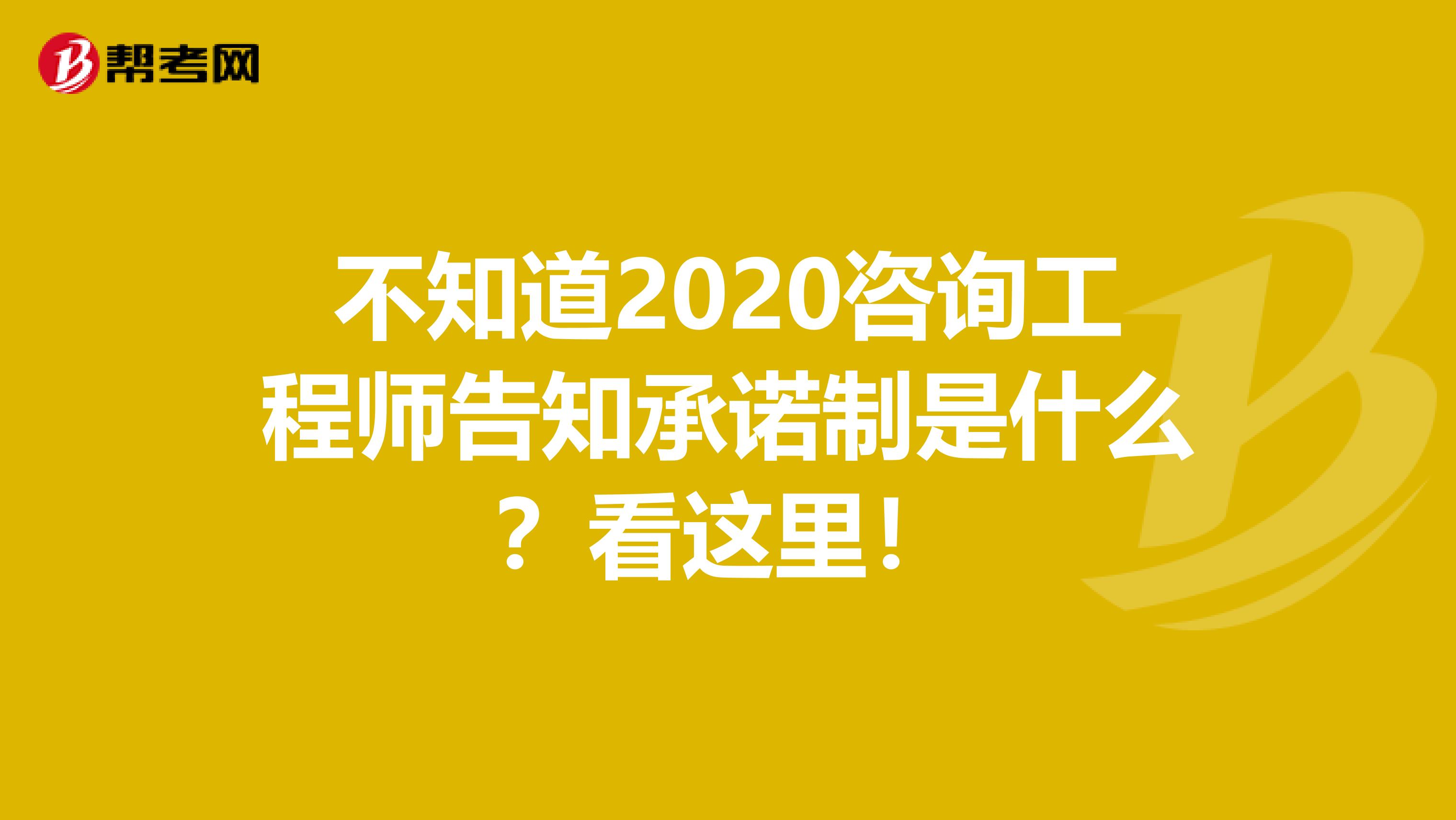 不知道2020咨询工程师告知承诺制是什么？看这里！