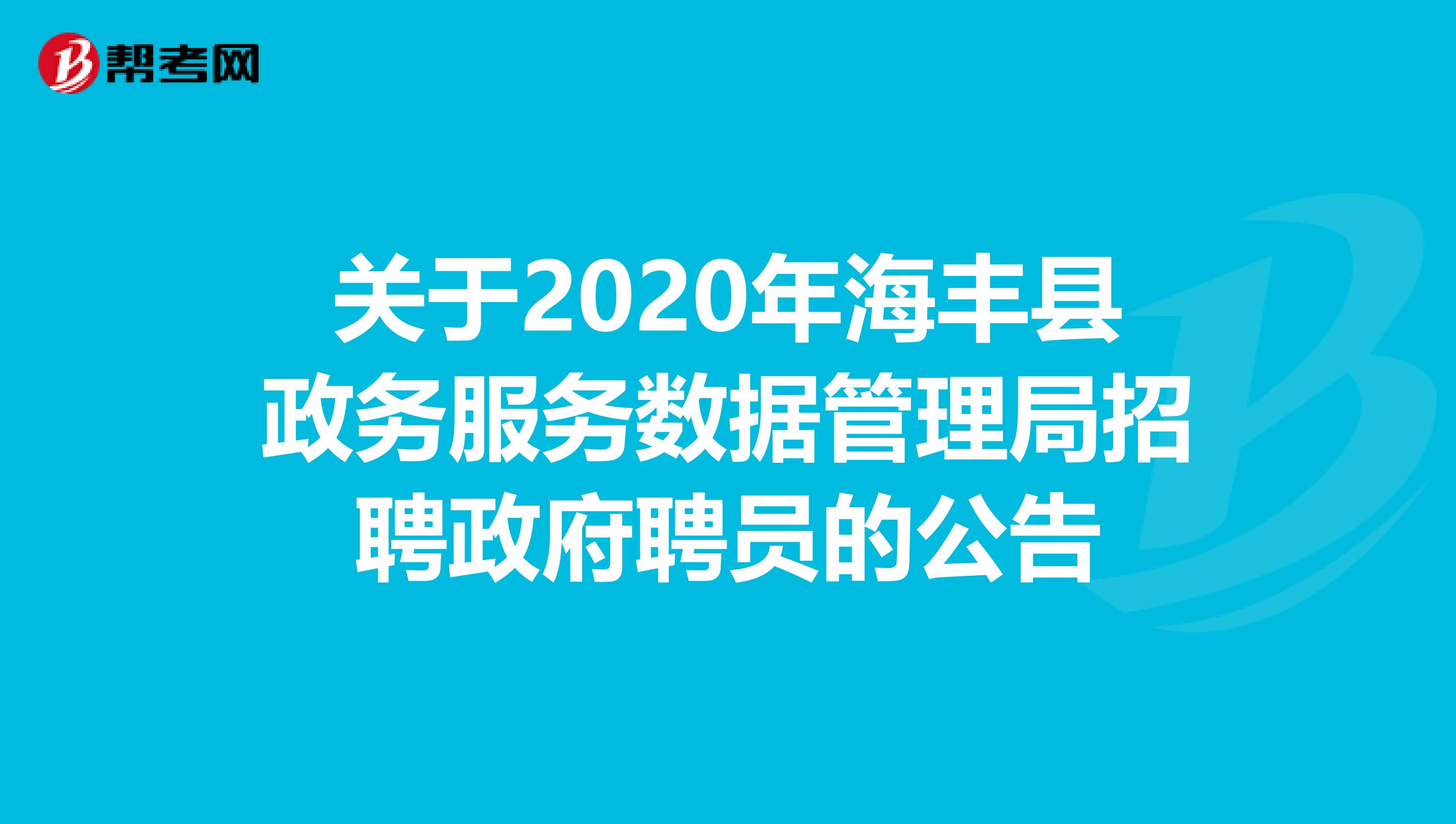 关于2020年海丰县政务服务数据管理局招聘政府聘员的公告