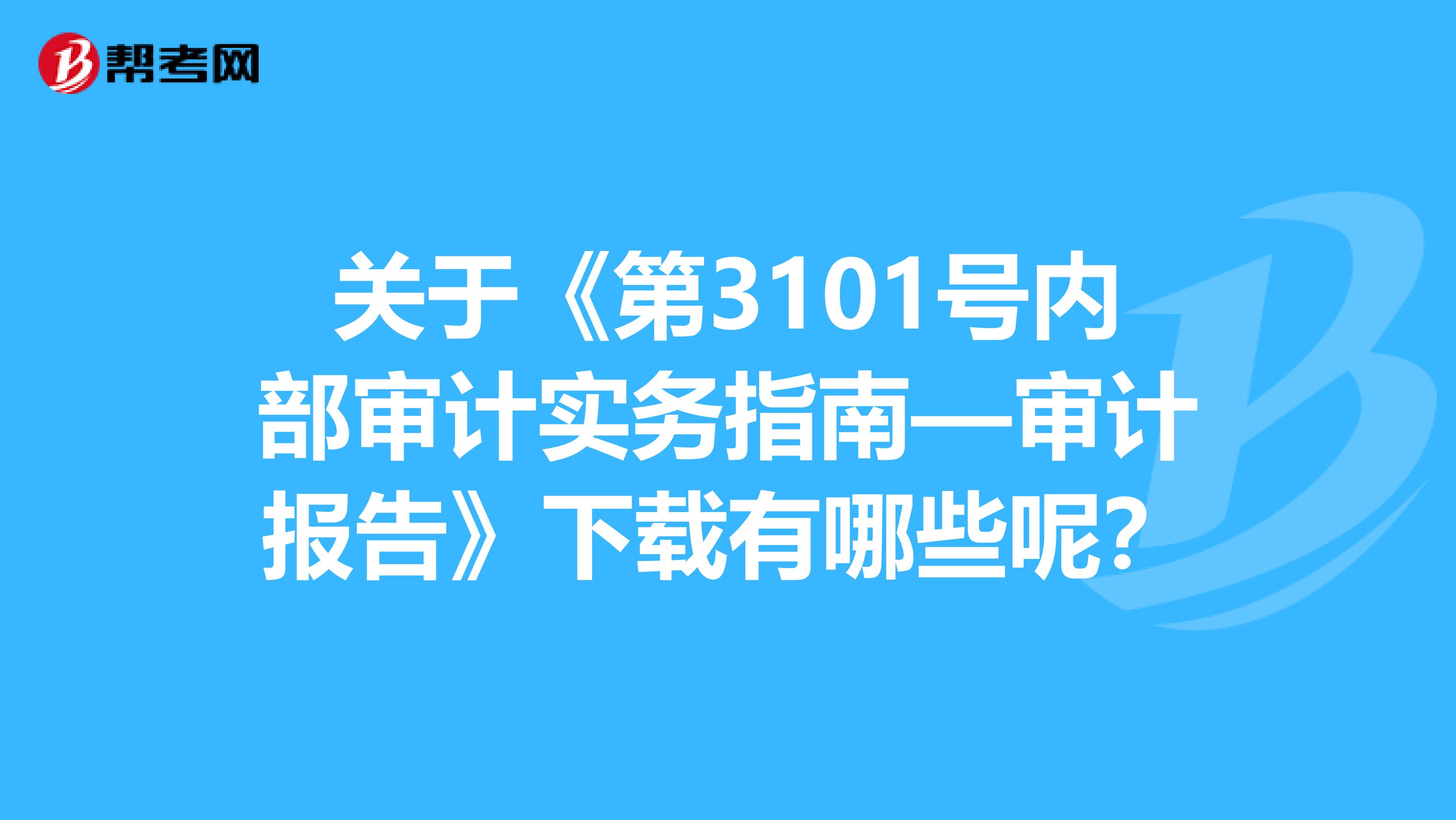 关于《第3101号内部审计实务指南—审计报告》下载有哪些呢？