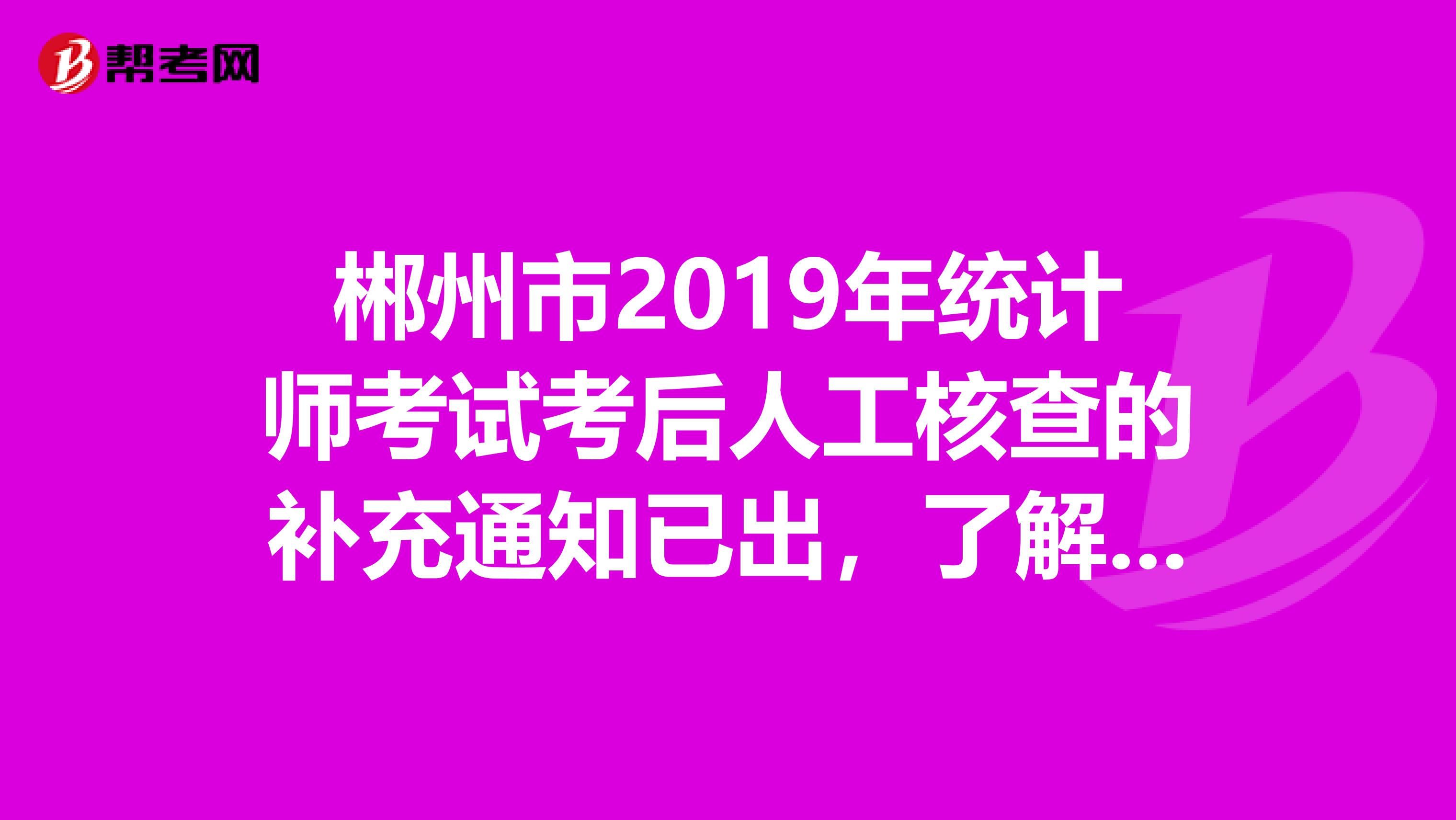 郴州市2019年统计师考试考后人工核查的补充通知已出，了解一下？