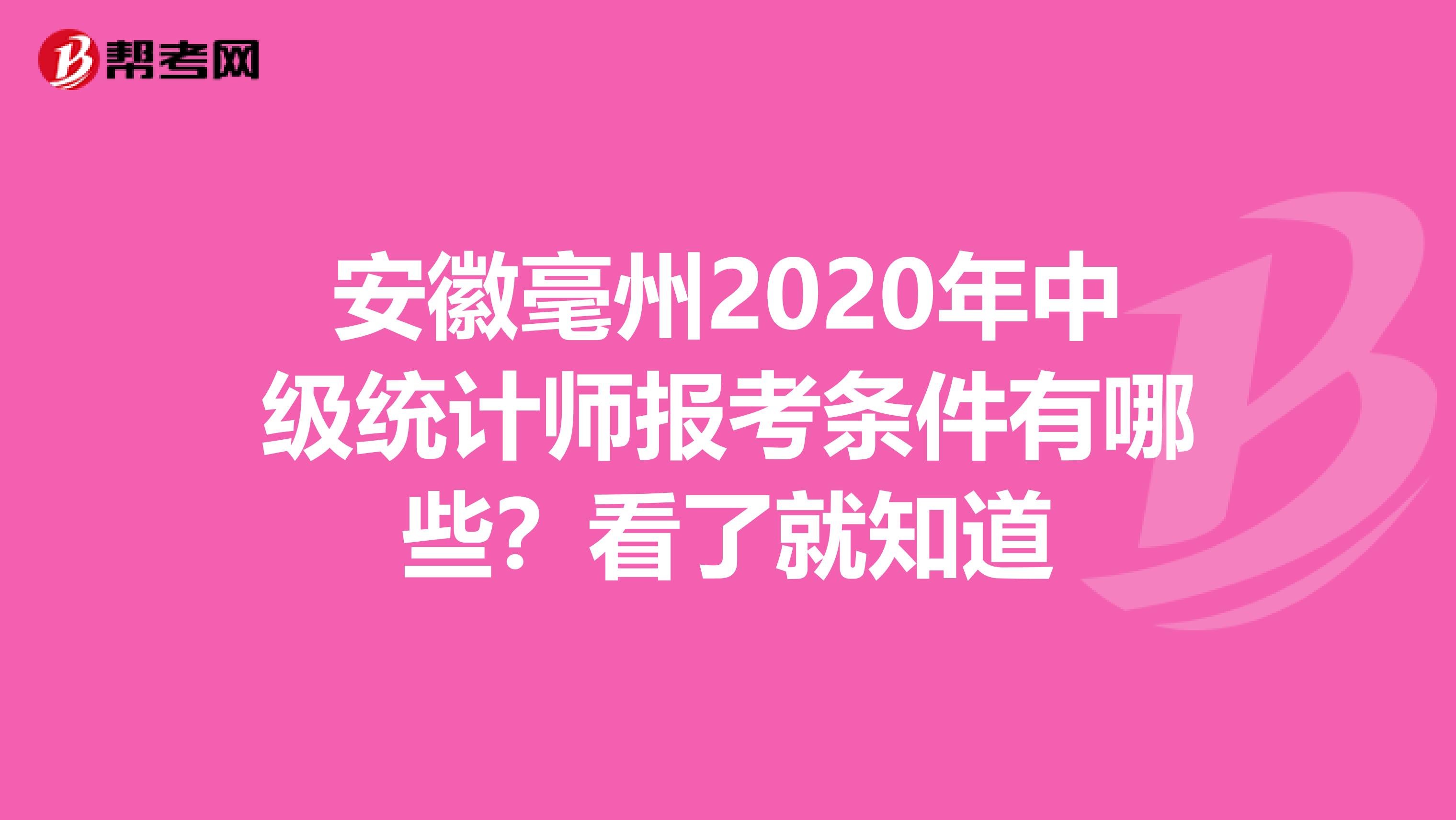 安徽毫州2020年中级统计师报考条件有哪些？看了就知道