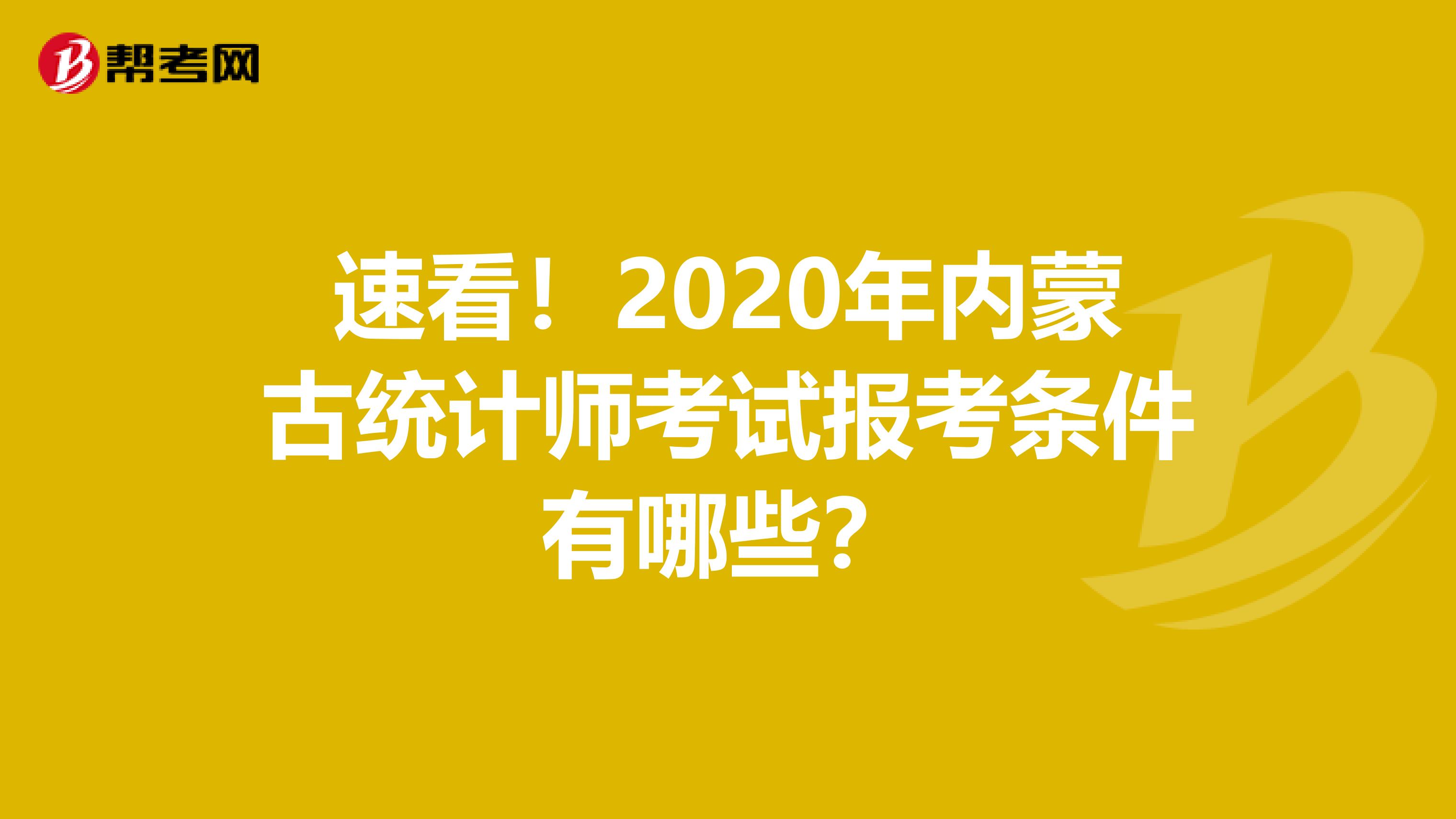 速看！2020年内蒙古统计师考试报考条件有哪些？
