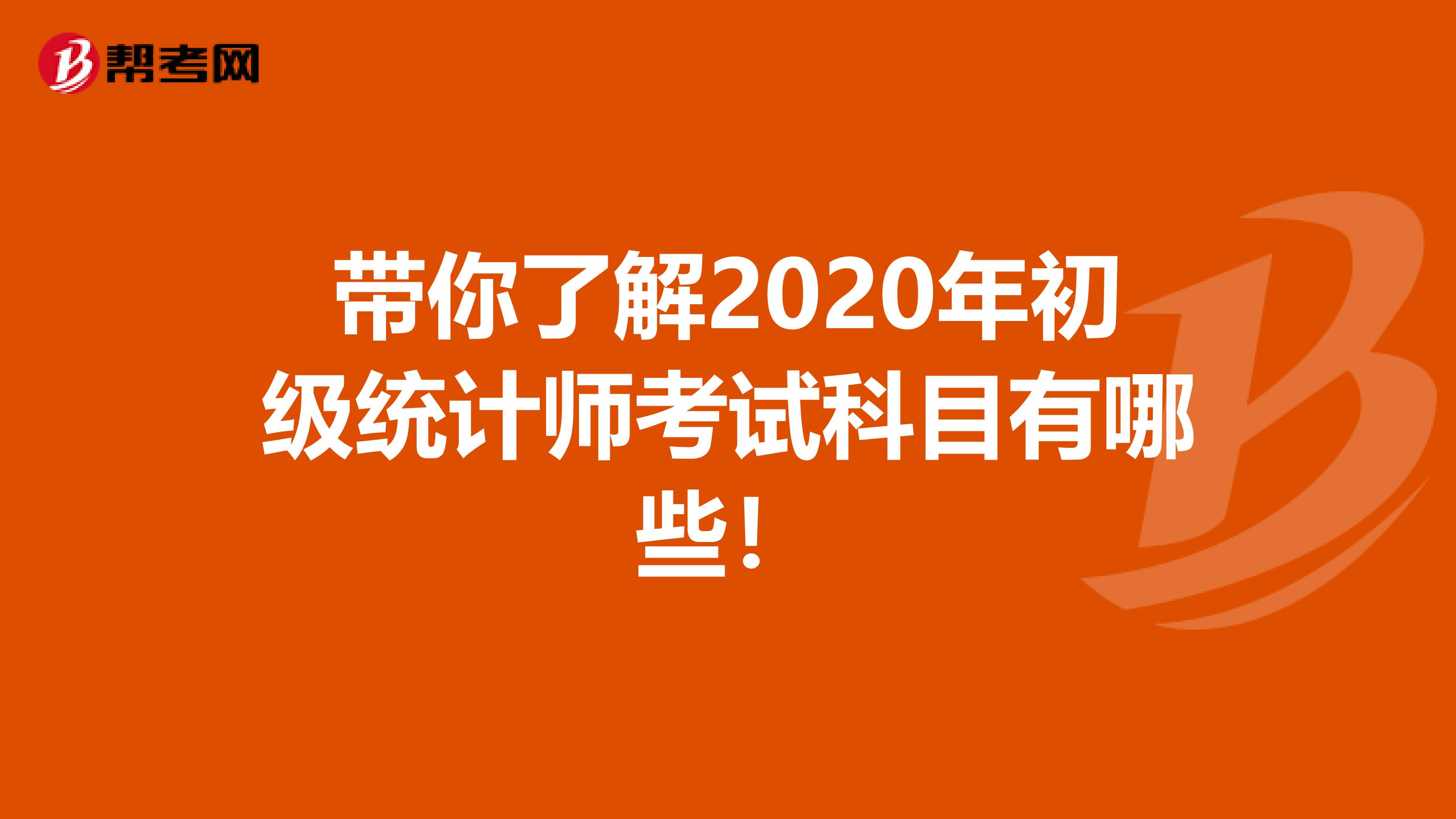 带你了解2020年初级统计师考试科目有哪些！