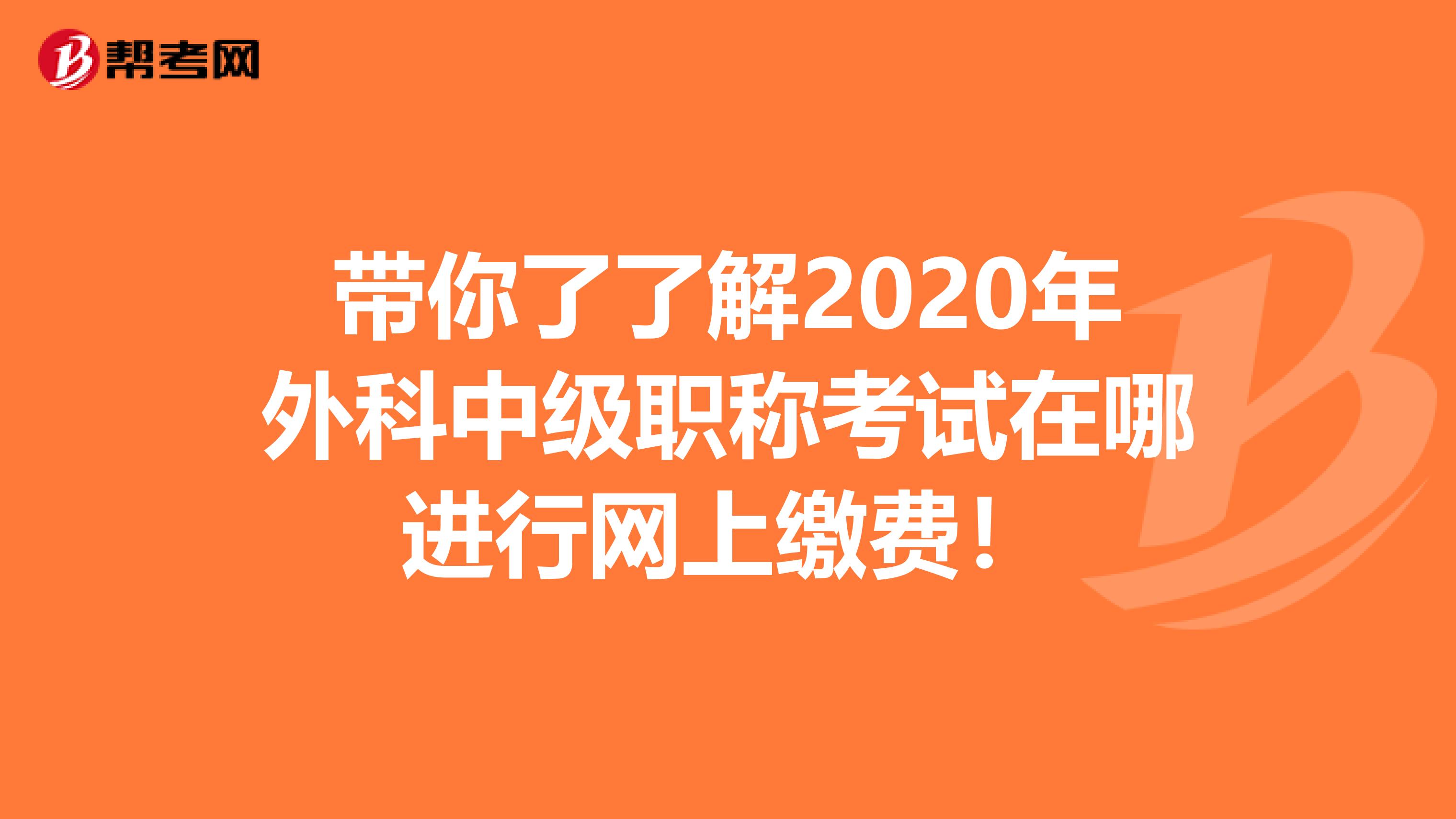 带你了了解2020年外科中级职称考试在哪进行网上缴费！