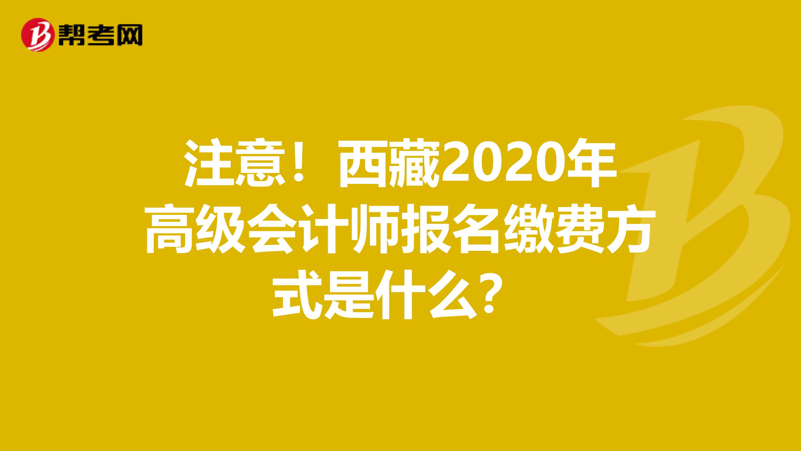 注意！西藏2020年高级会计师报名缴费方式是什么？