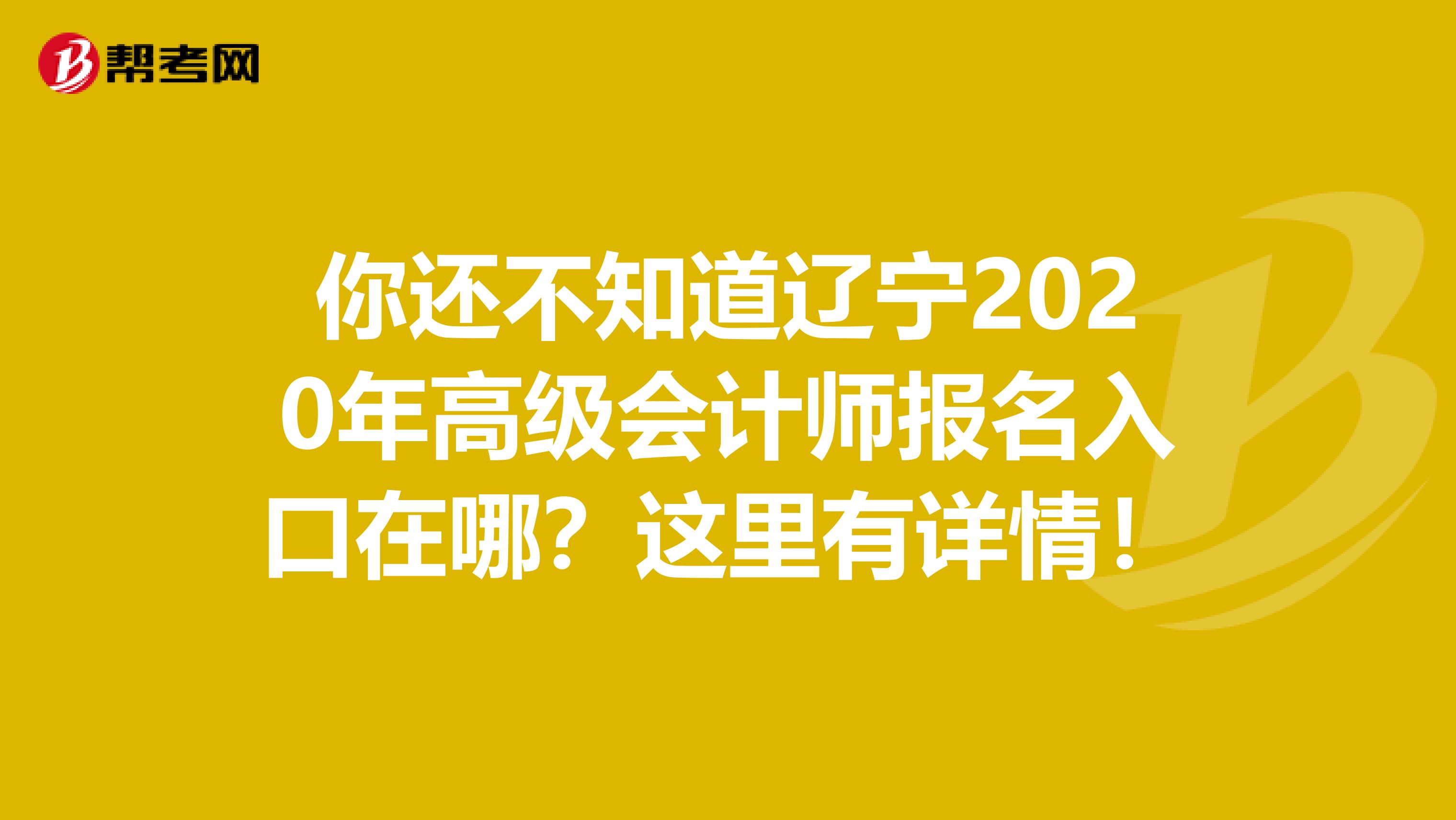 你還不知道遼寧2020年高級(jí)會(huì)計(jì)師報(bào)名入口在哪？這里有詳情！