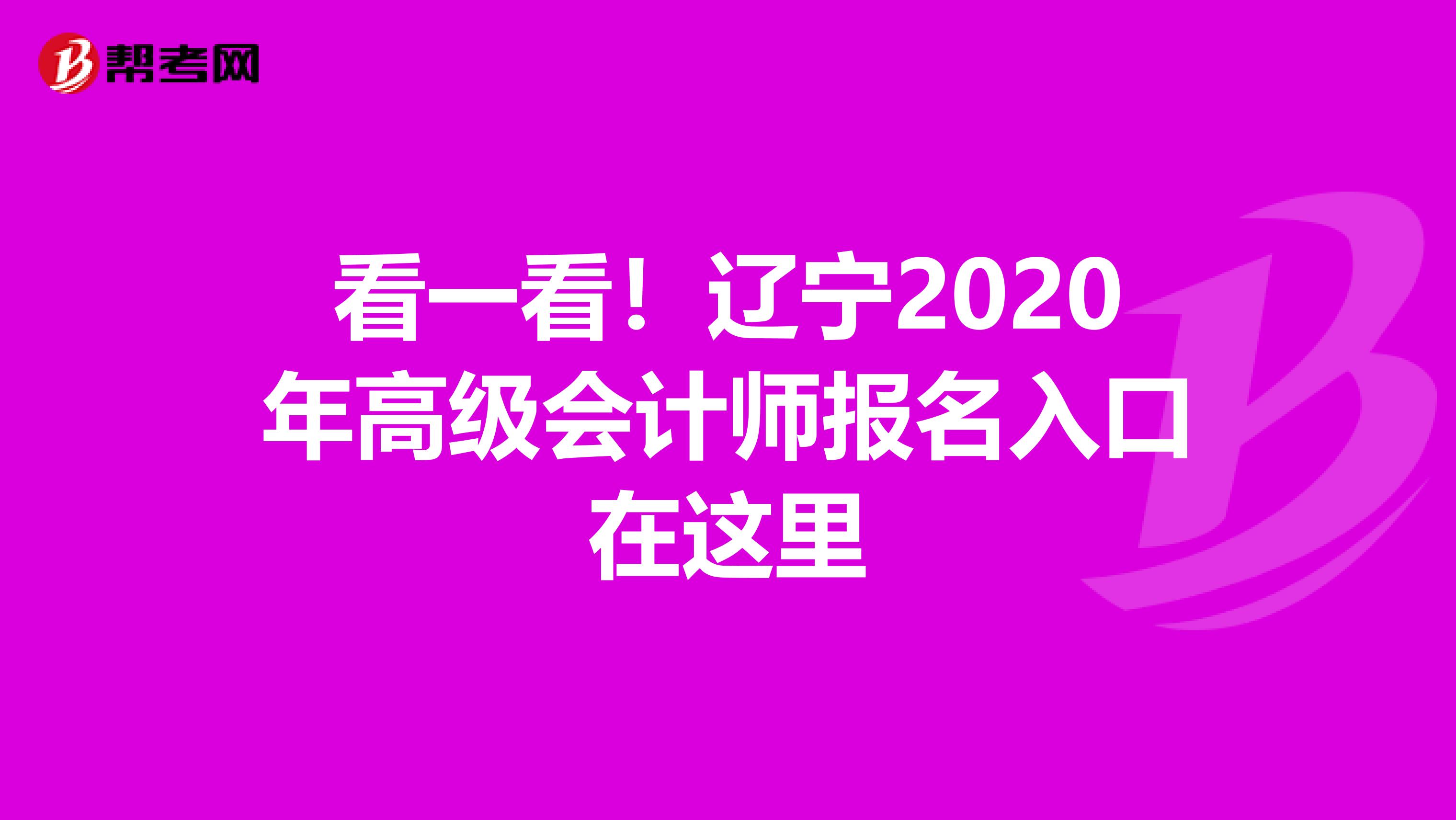 看一看!遼寧2020年高級(jí)會(huì)計(jì)師報(bào)名入口在這里