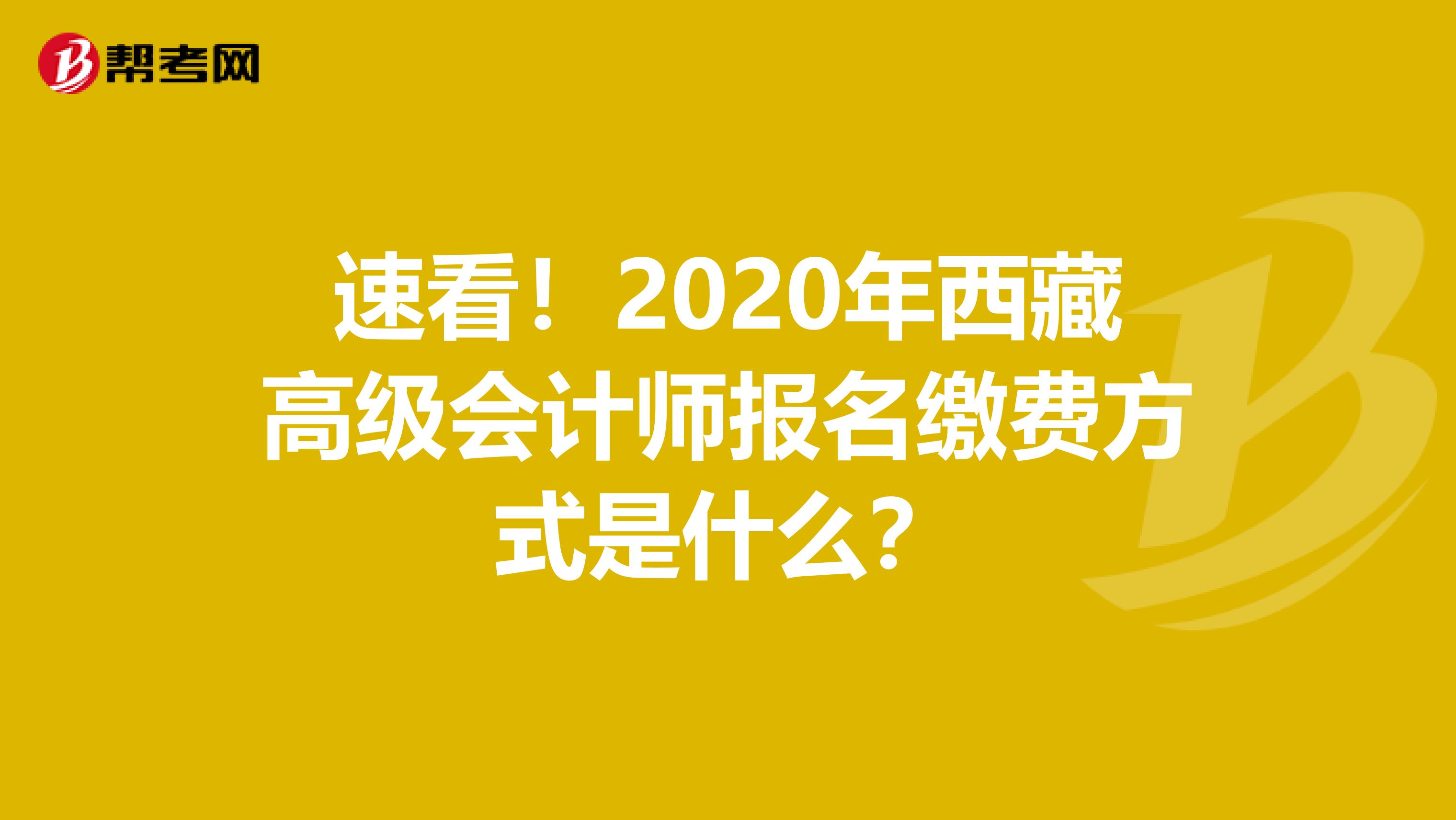 速看！2020年西藏高级会计师报名缴费方式是什么？