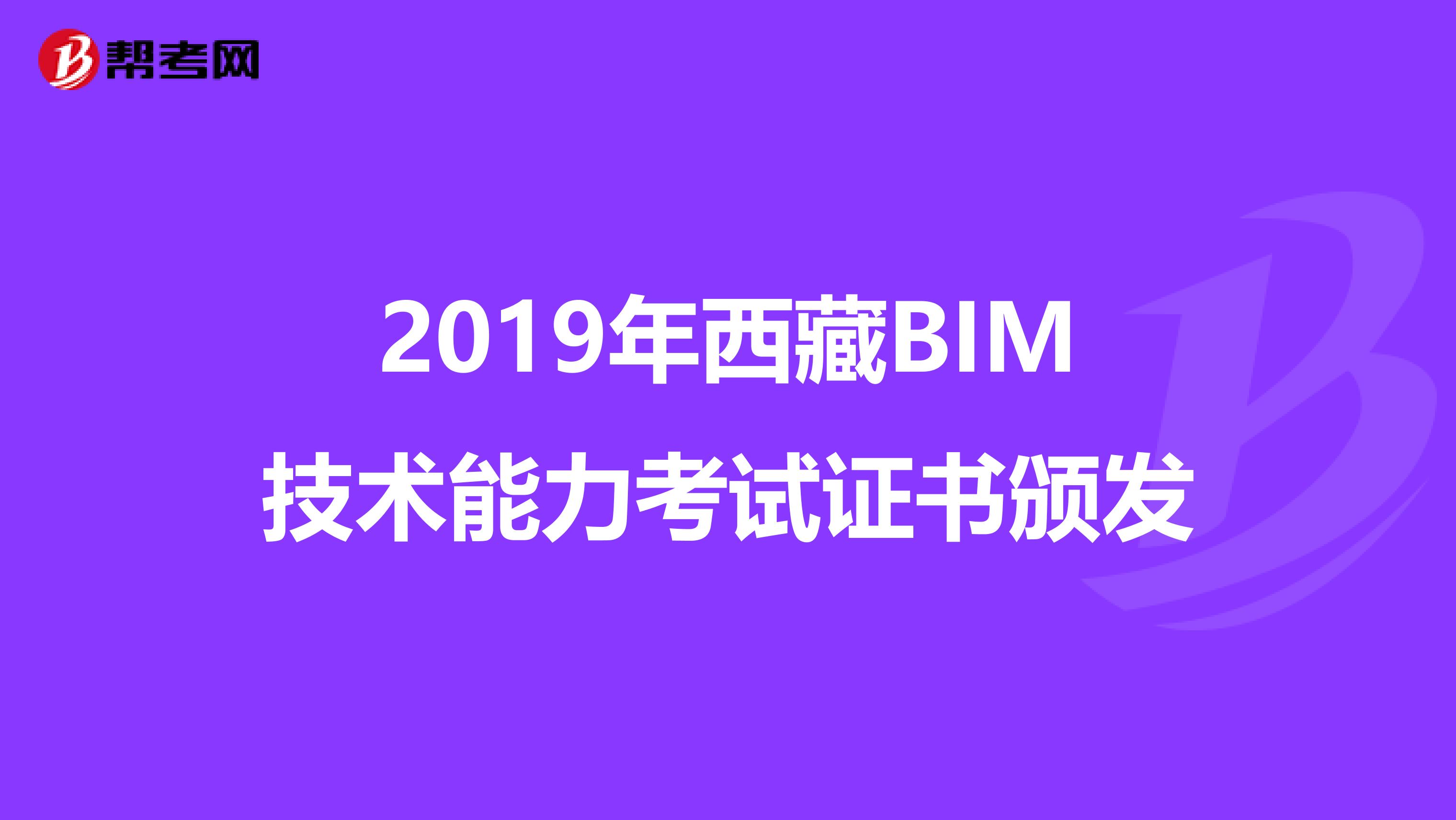 2019年西藏BIM技术能力考试证书颁发