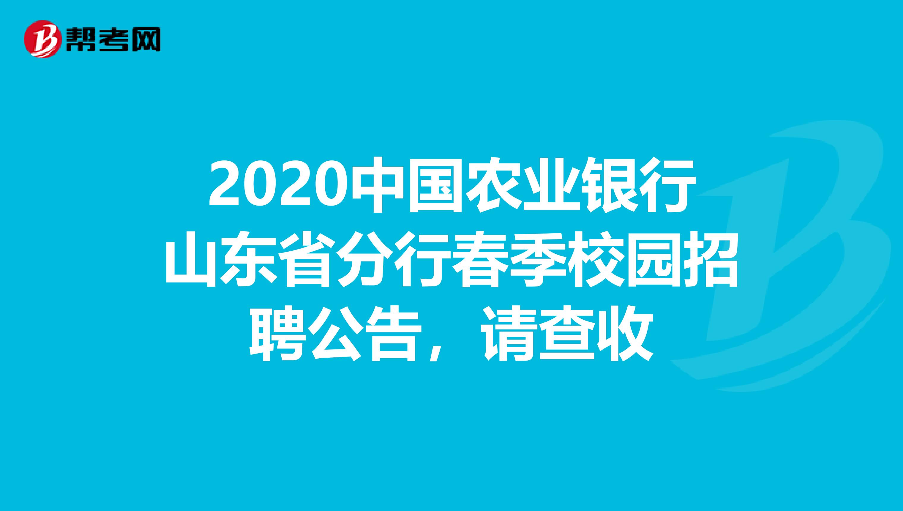 2020中国农业银行山东省分行春季校园招聘公告，请查收