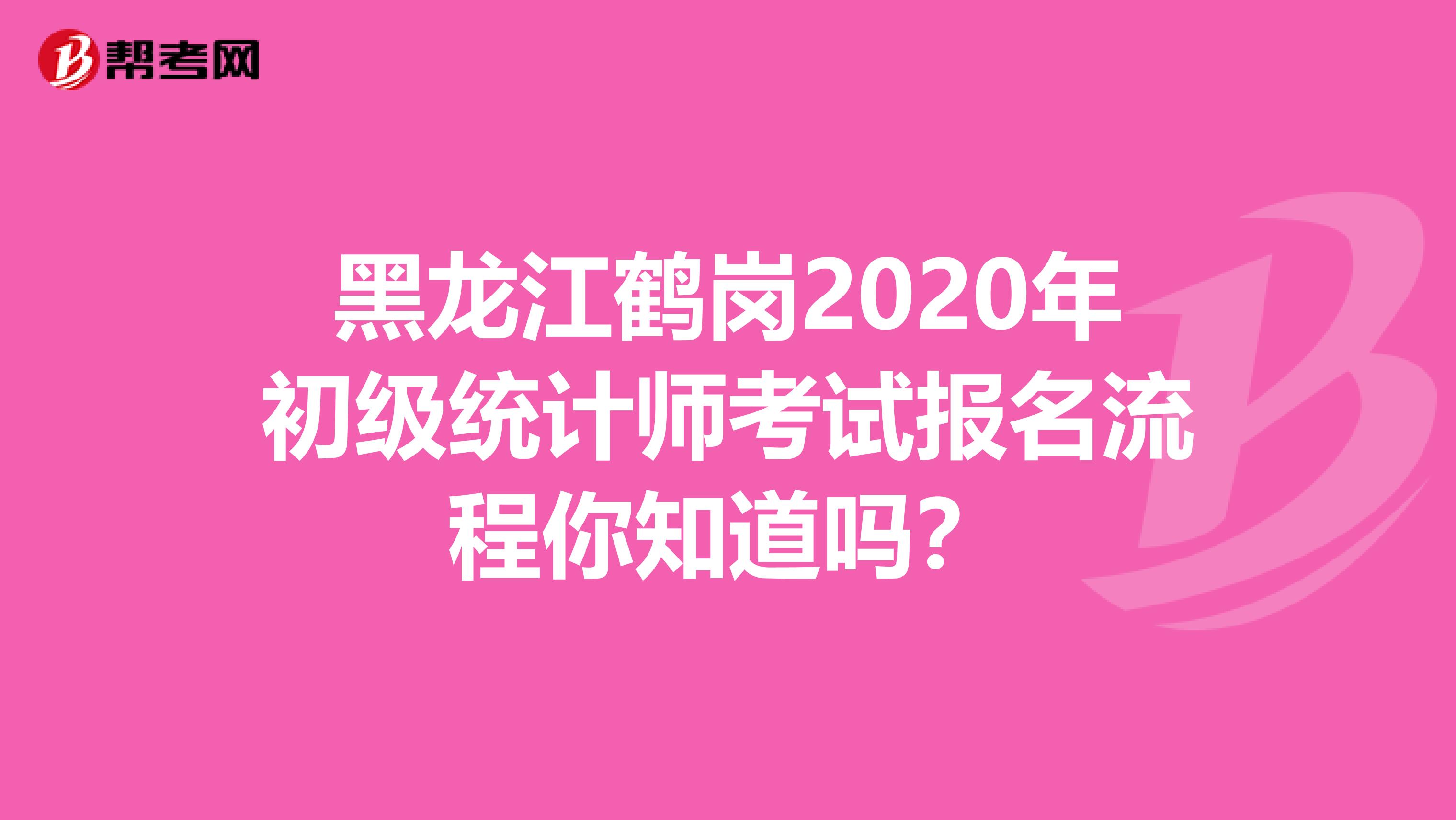 黑龙江鹤岗2020年初级统计师考试报名流程你知道吗？