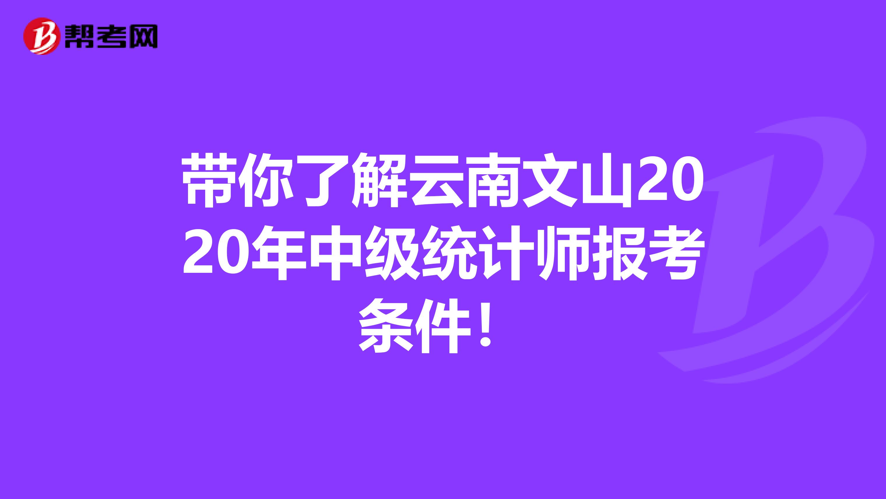 帶你了解云南文山2020年中級統(tǒng)計(jì)師報(bào)考條件！