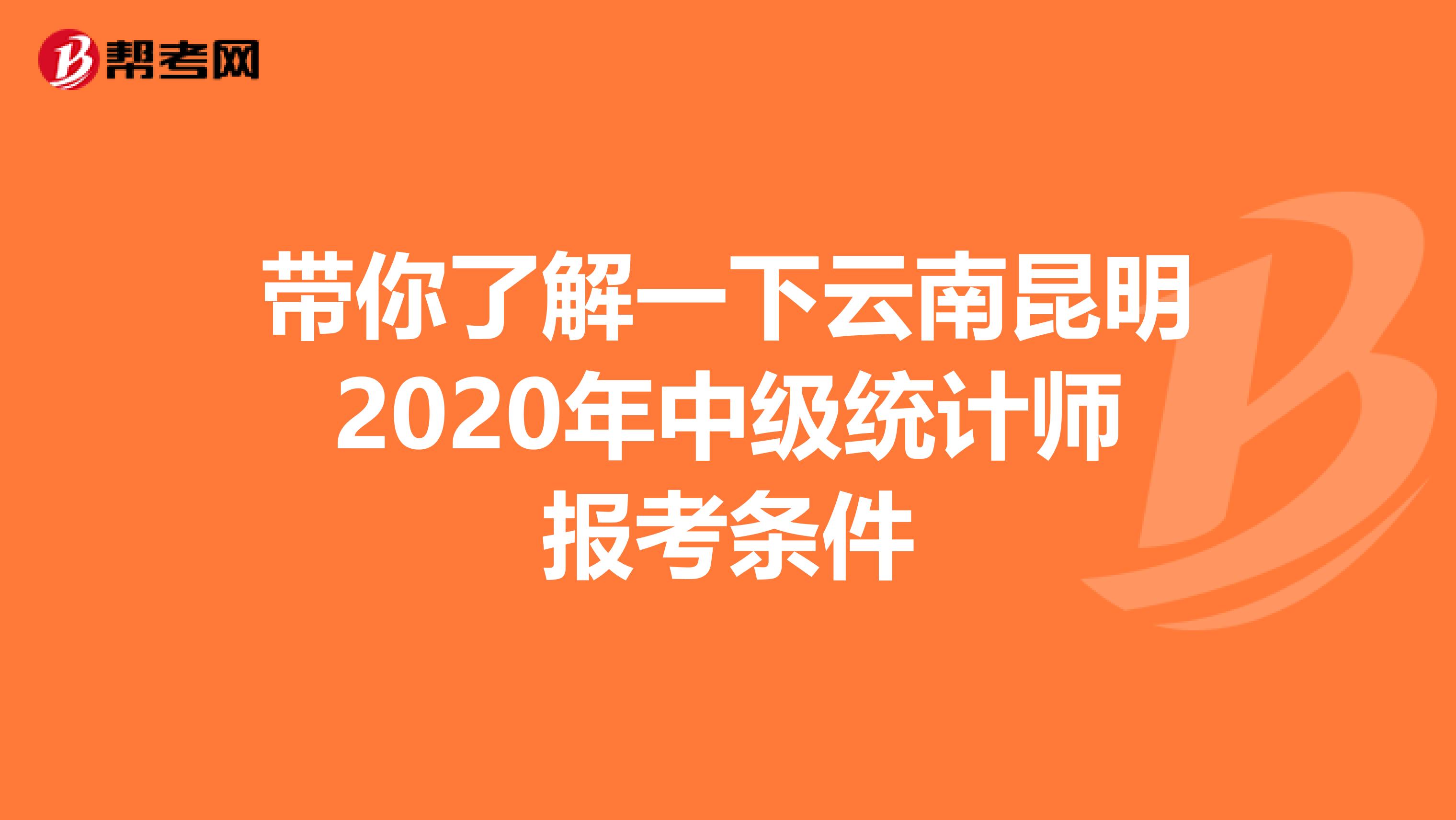 带你了解一下云南昆明2020年中级统计师报考条件