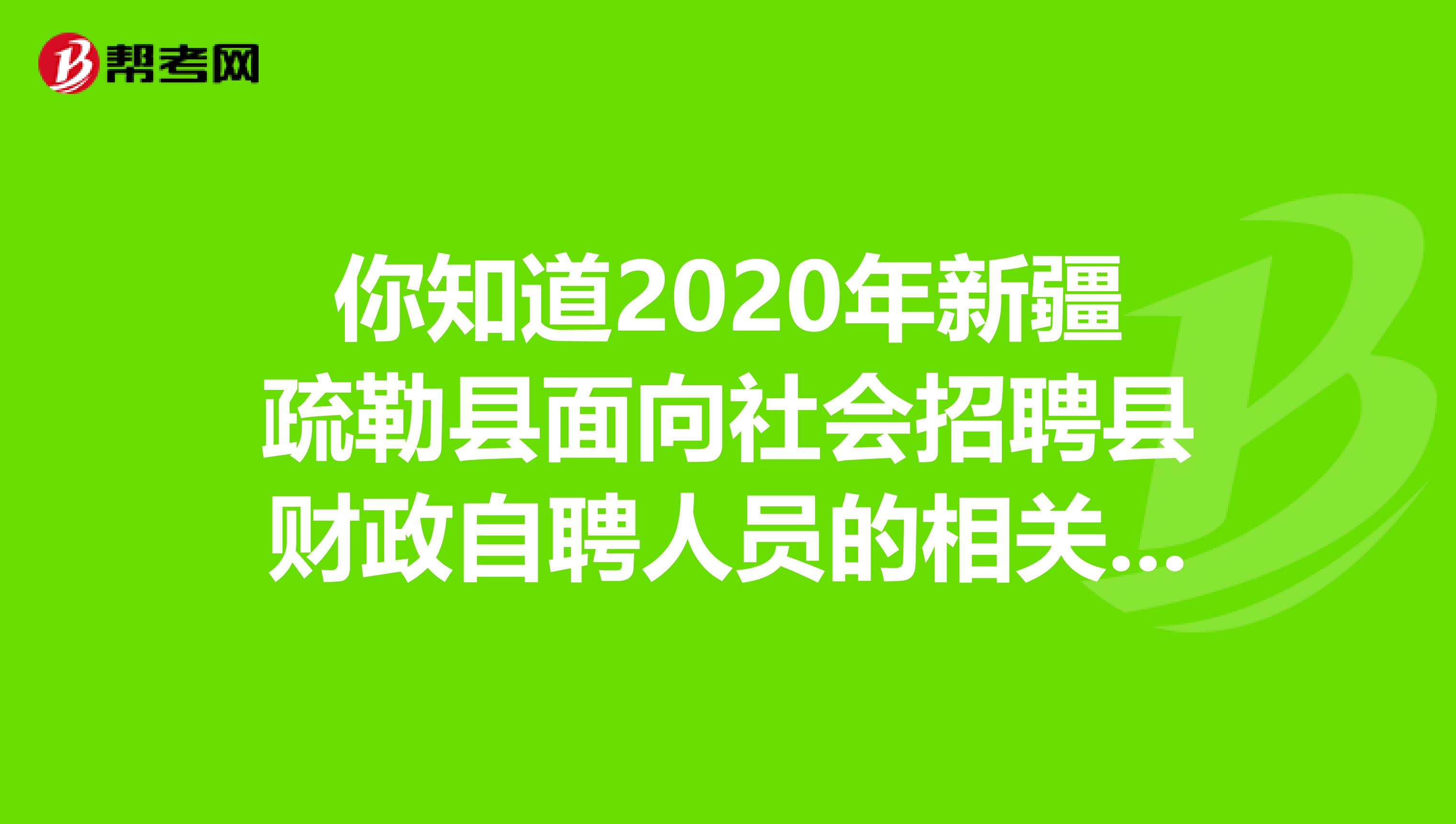 你知道2020年新疆疏勒县面向社会招聘县财政自聘人员的相关安排吗？